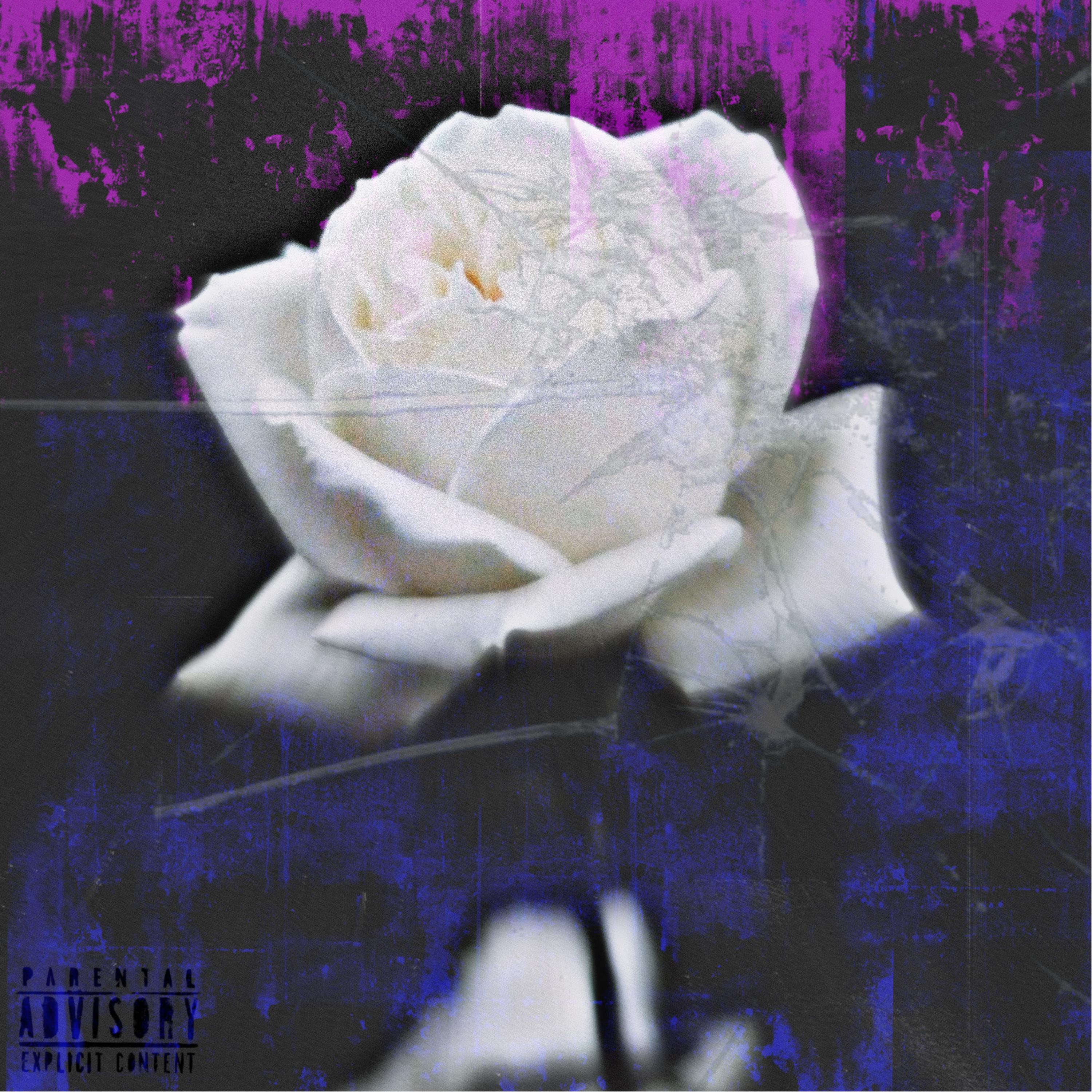 Ran it Up by Lil Twenty cover art