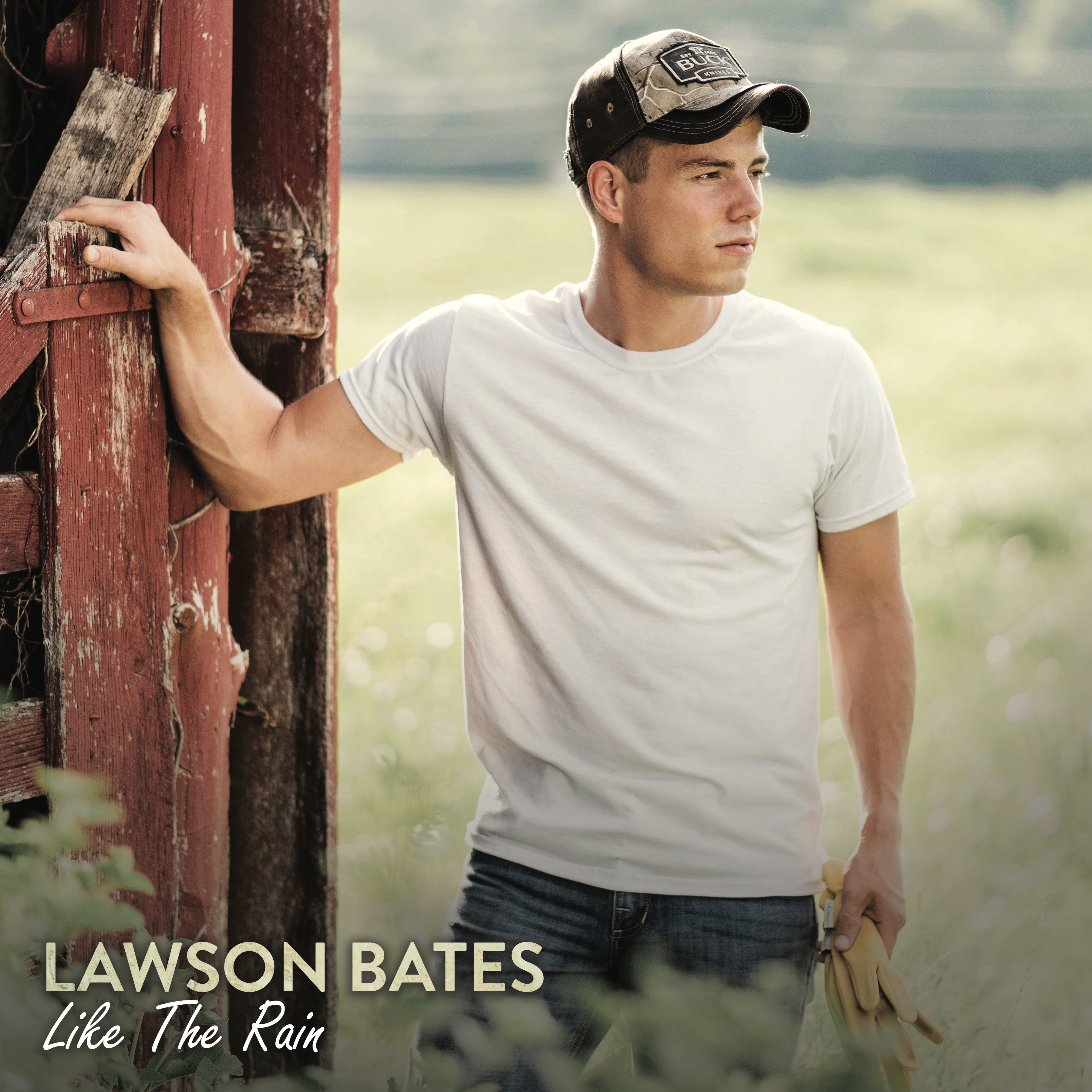 Like The Rain artwork