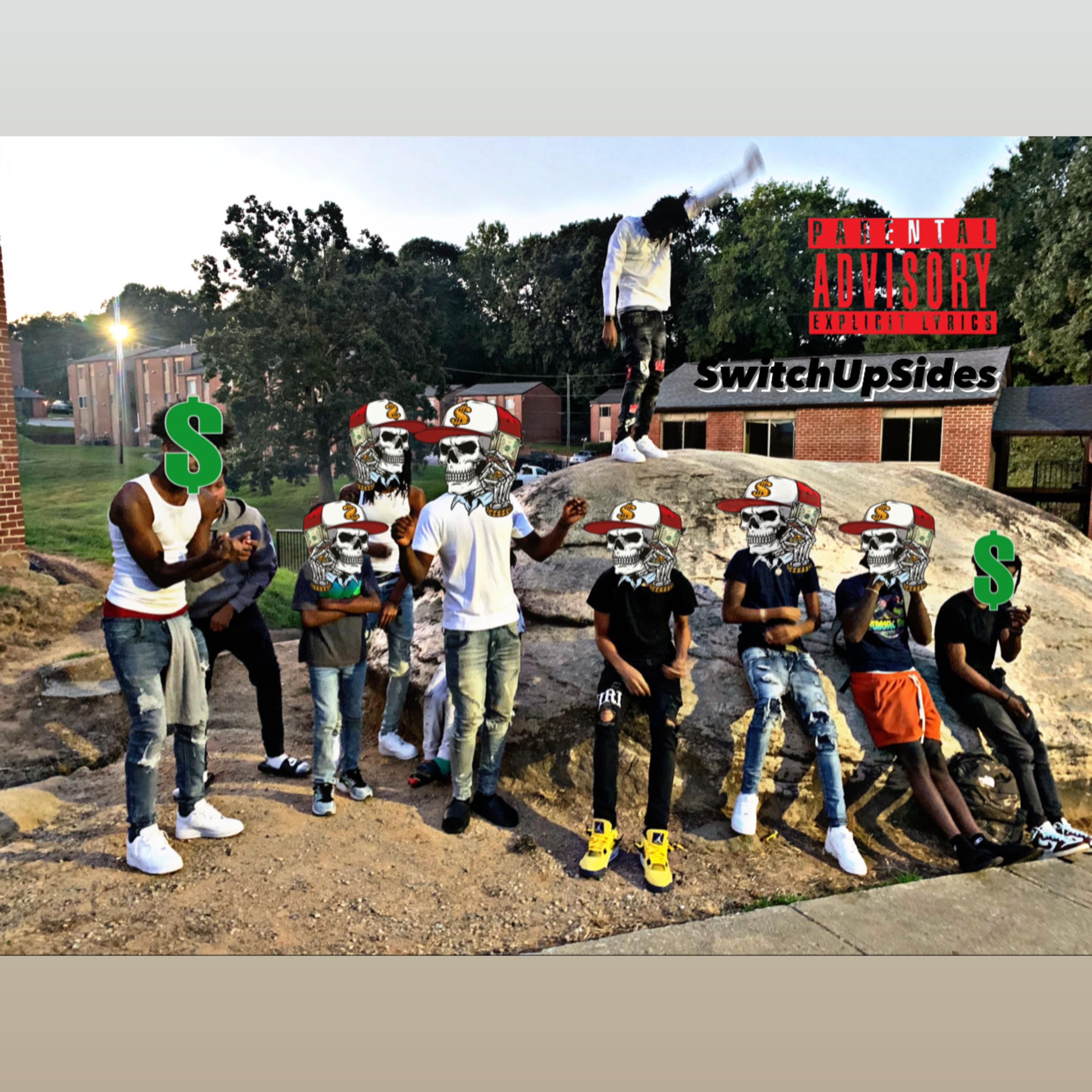 SwitchUpSides artwork