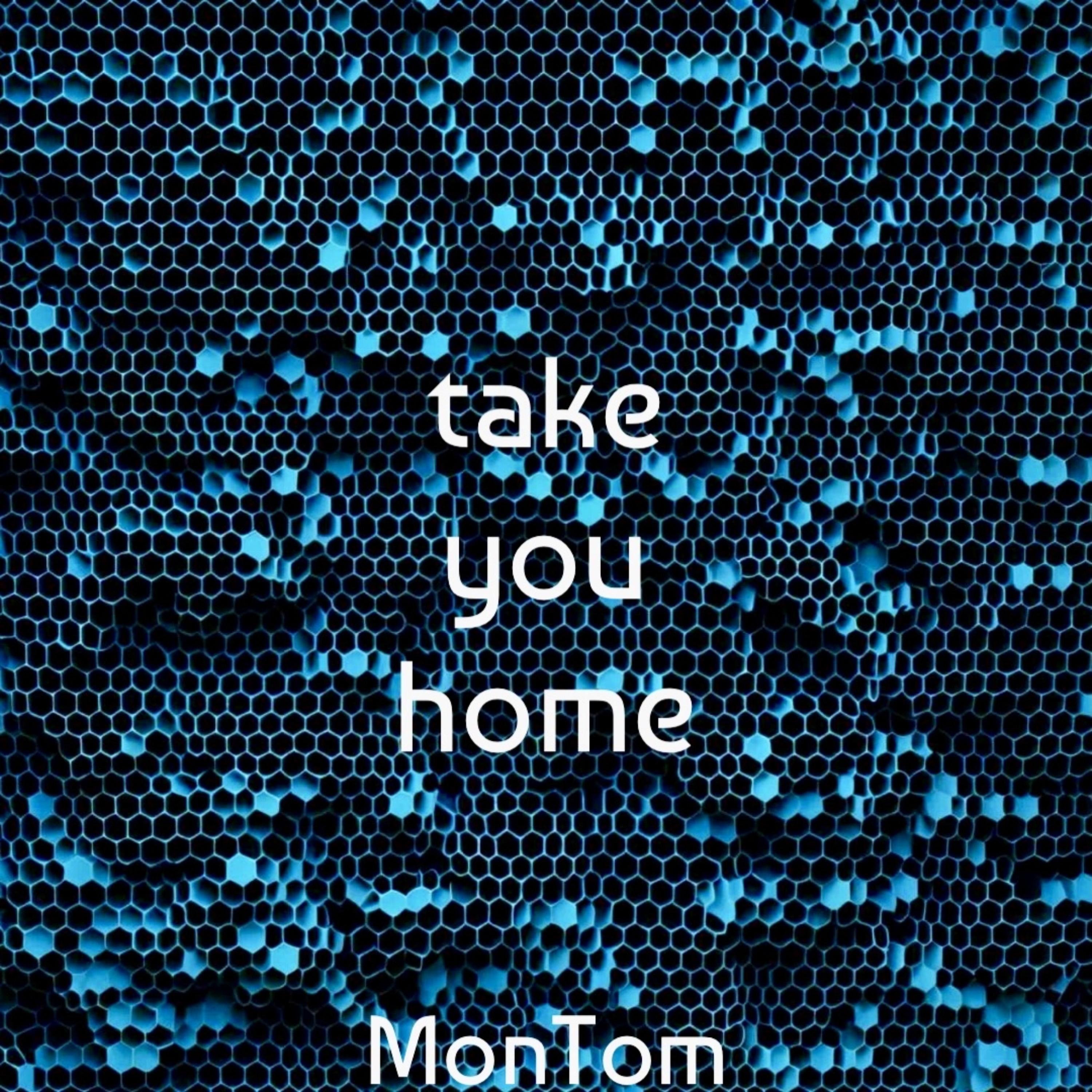 Take You Home artwork