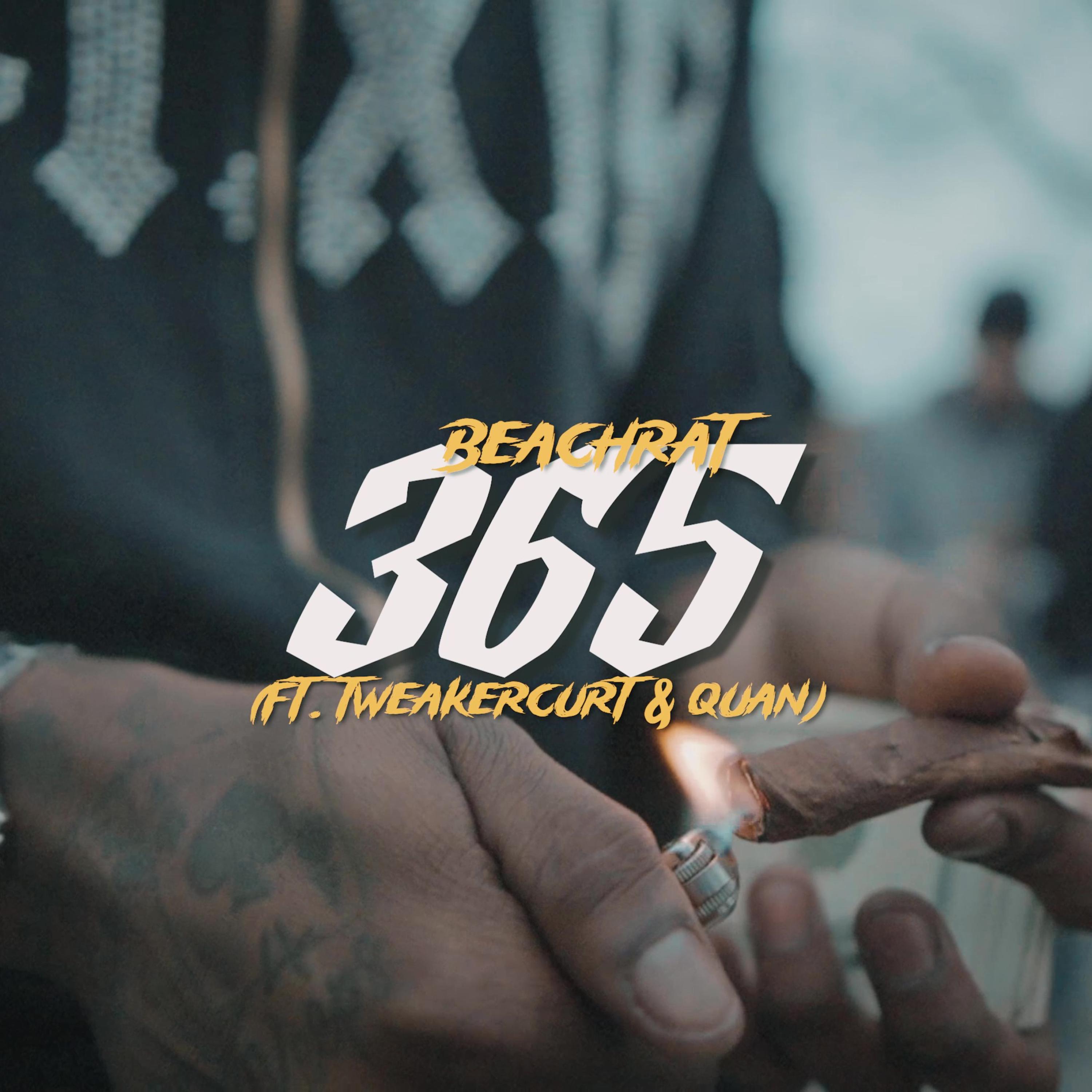 365 artwork