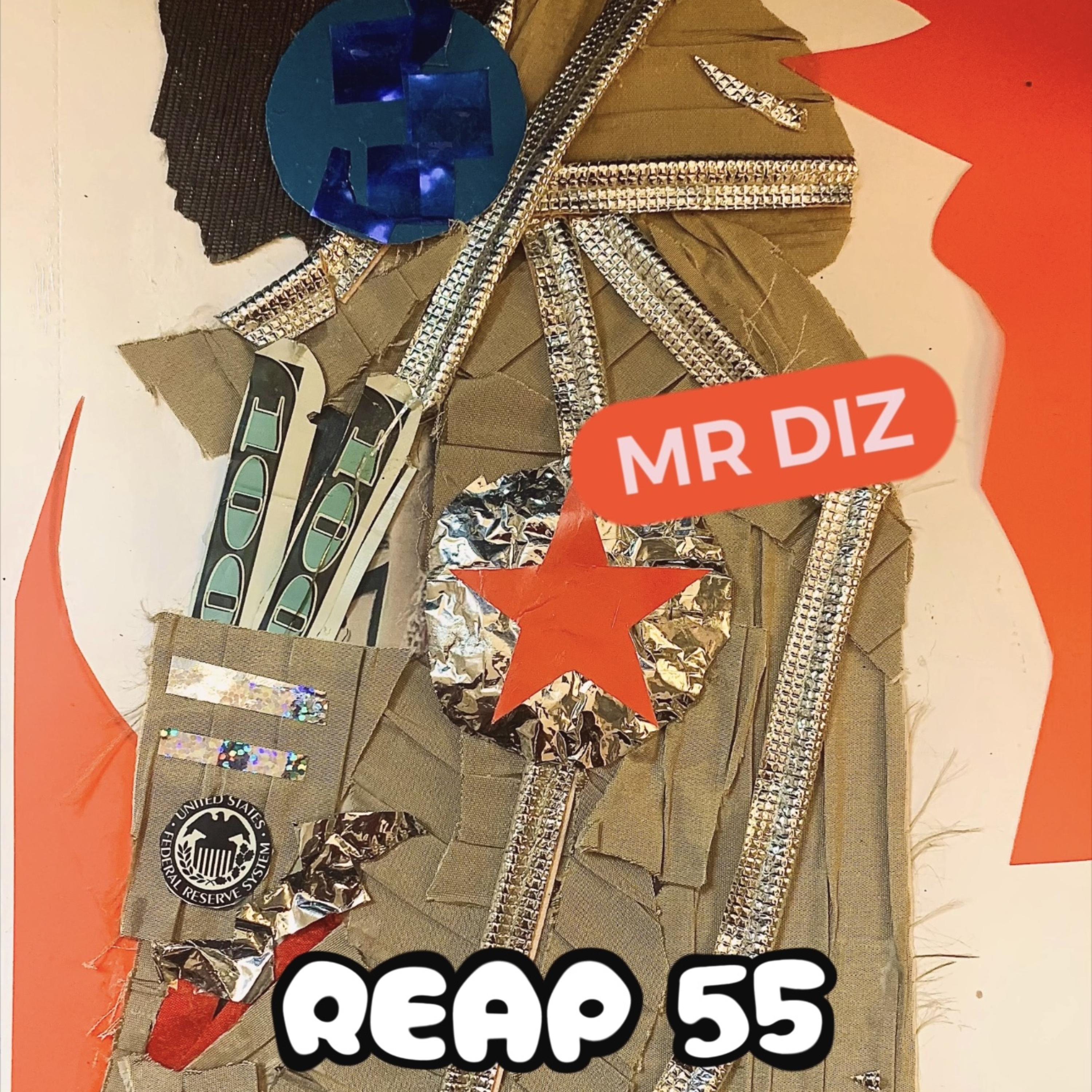 REAP 55 by Mr Diz cover art