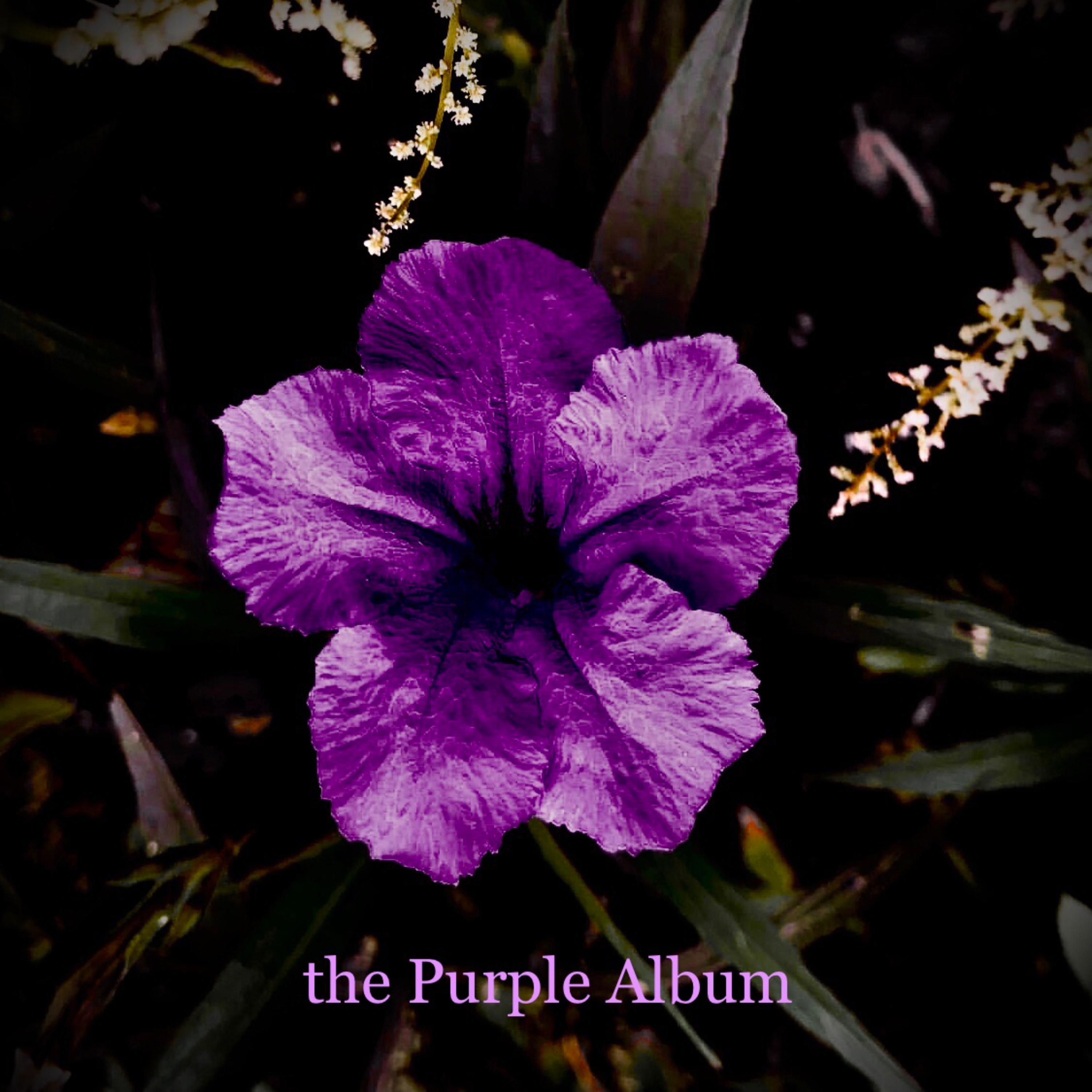 the Purple Album artwork