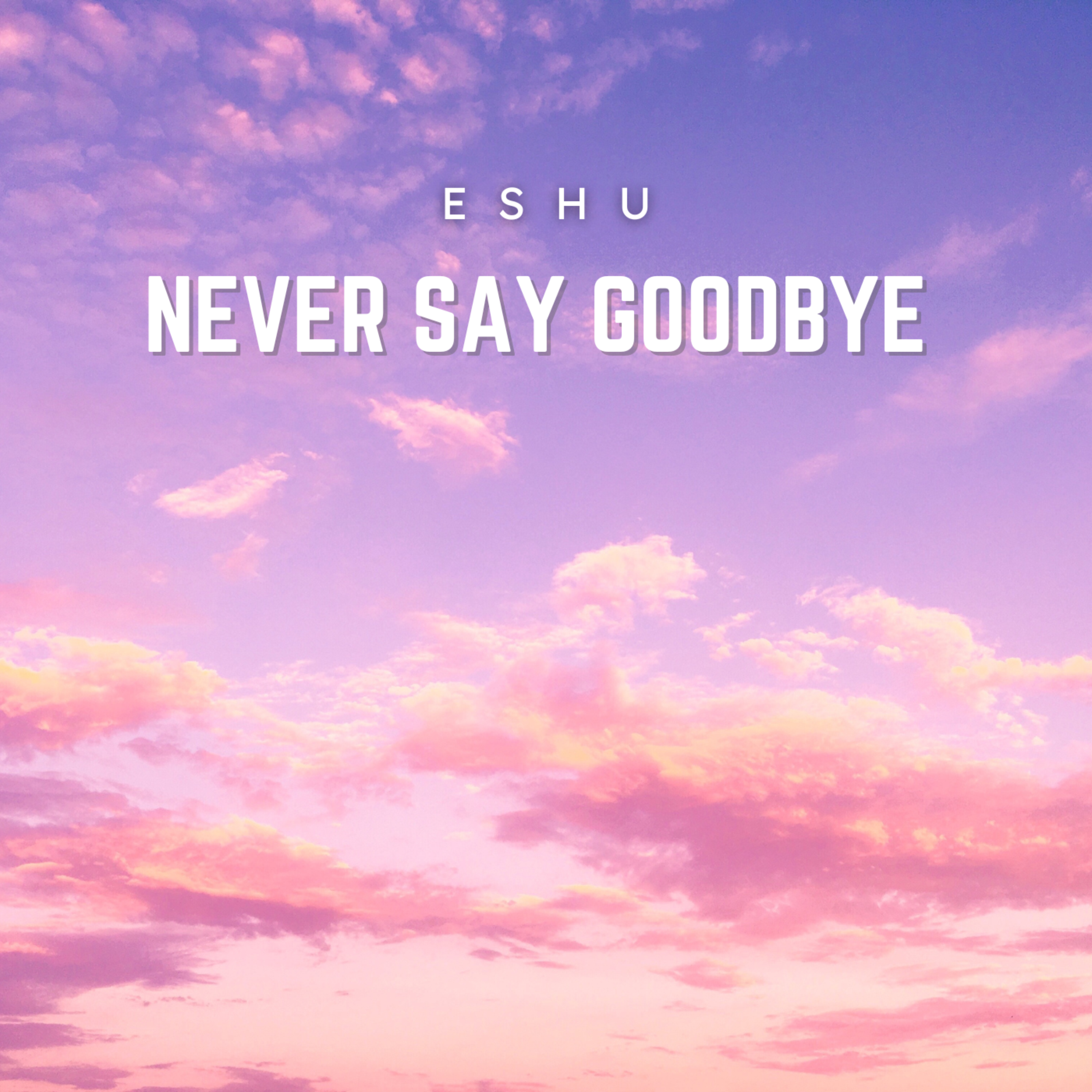 Never Say Goodbye artwork