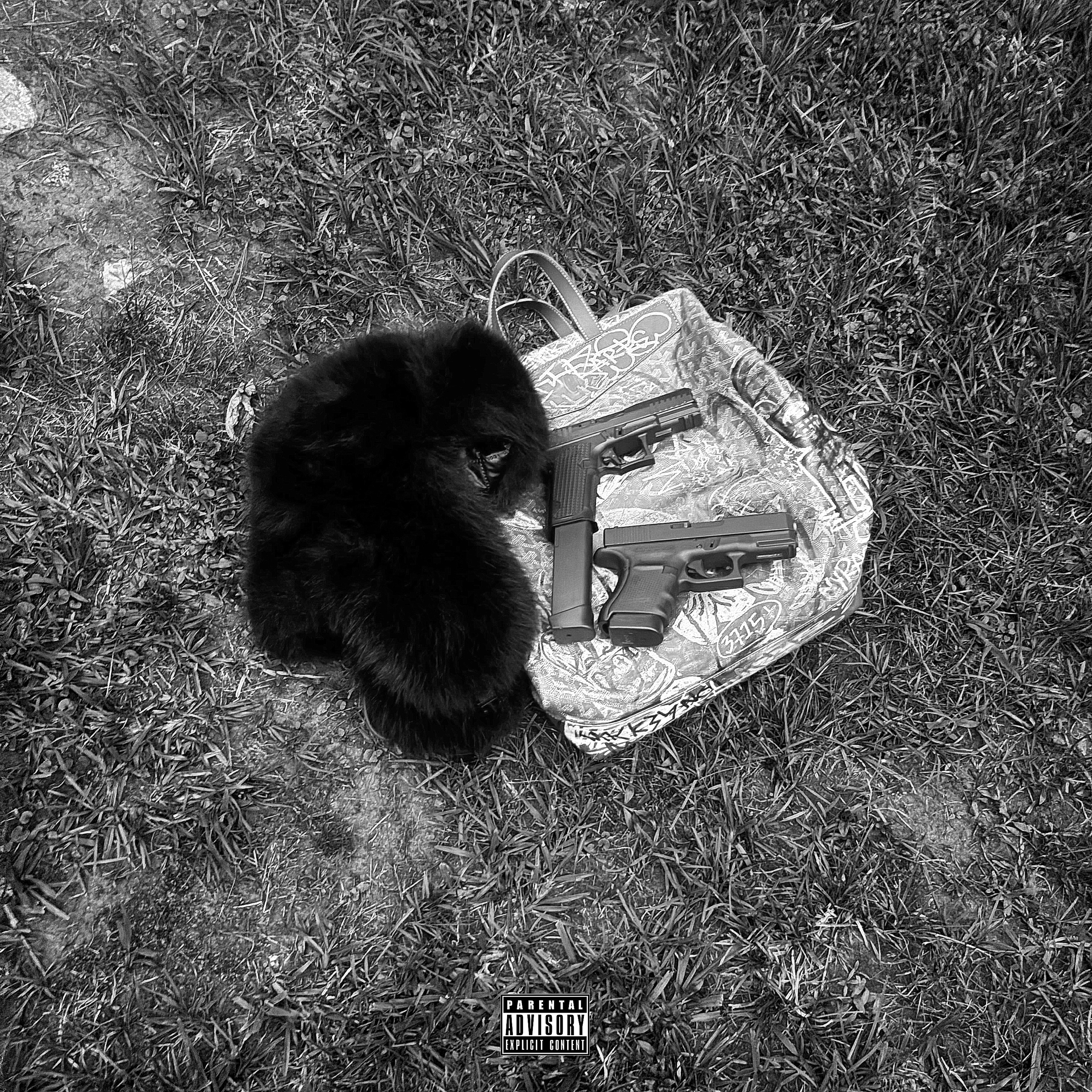 SRRY FOR THE WAIT artwork