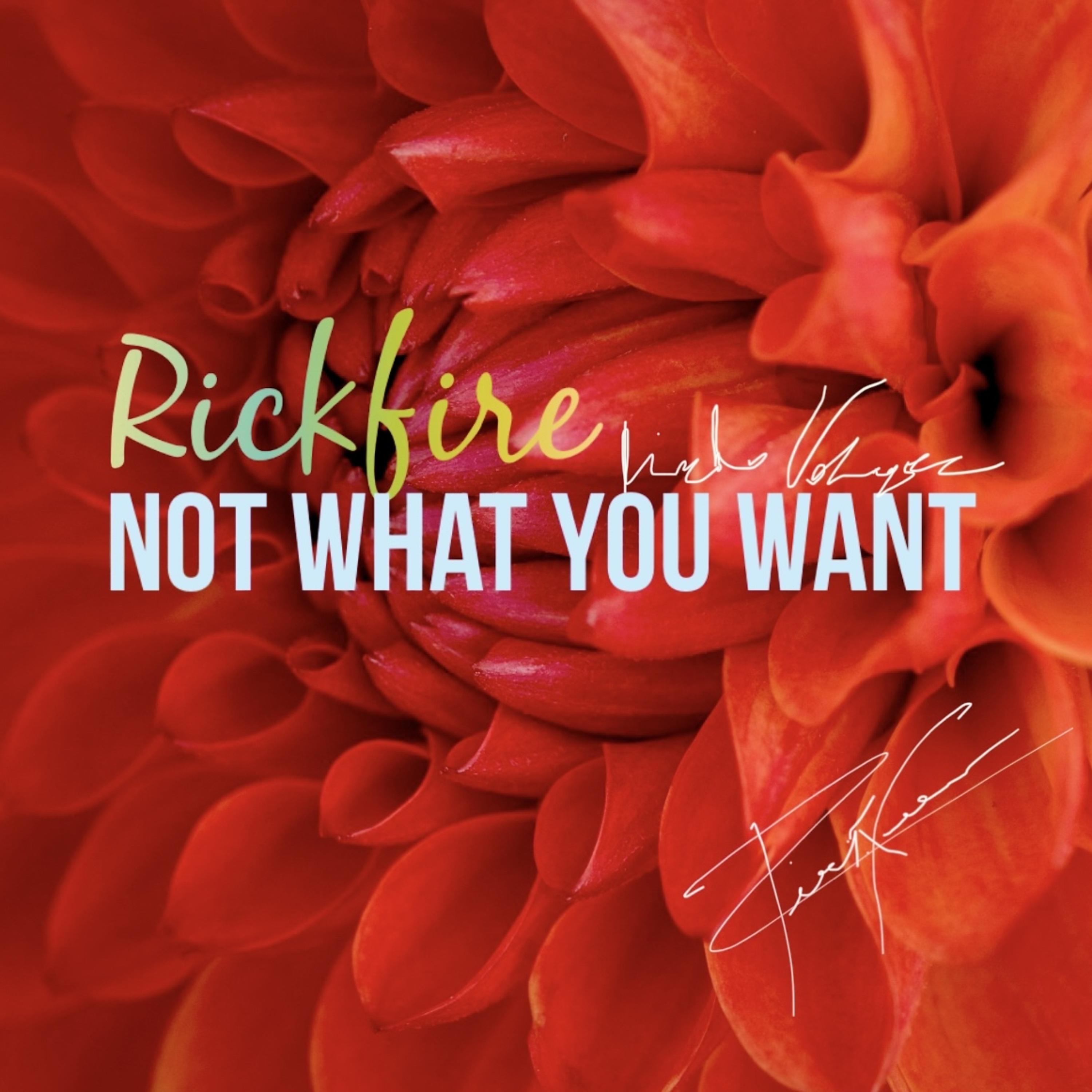 Not What You Want artwork