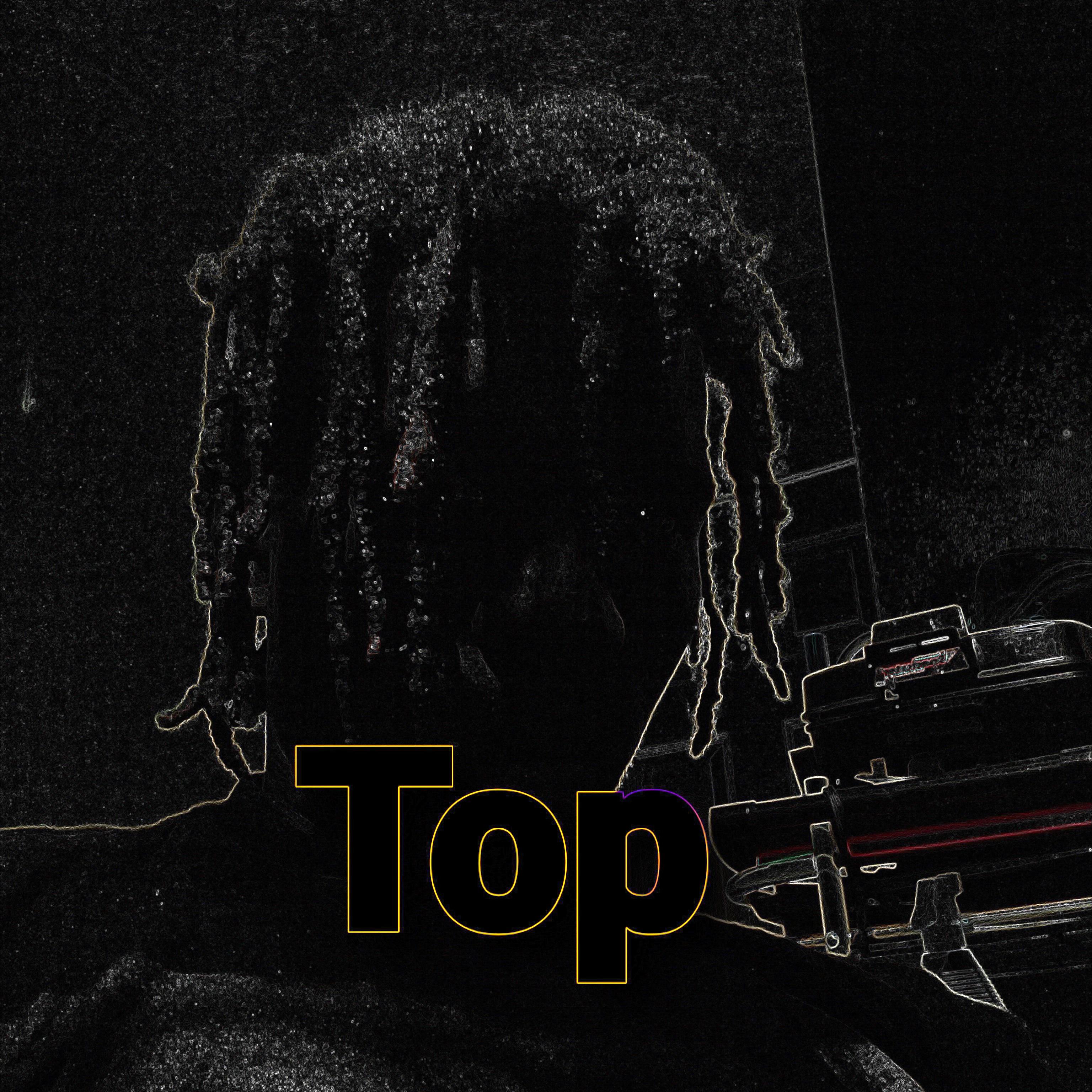 Top by Insane Duece cover art