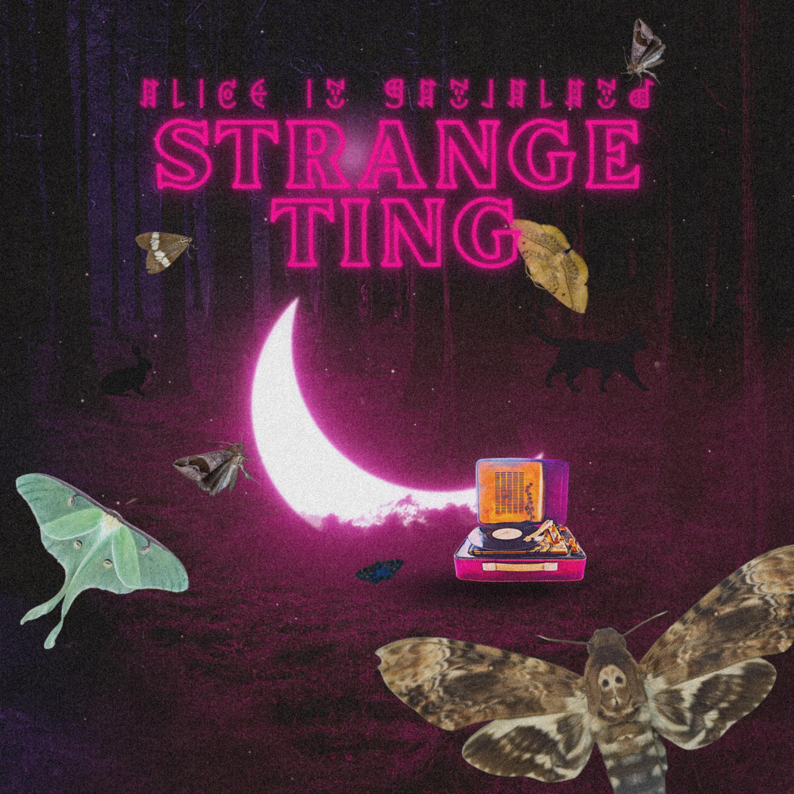 Strange Ting artwork
