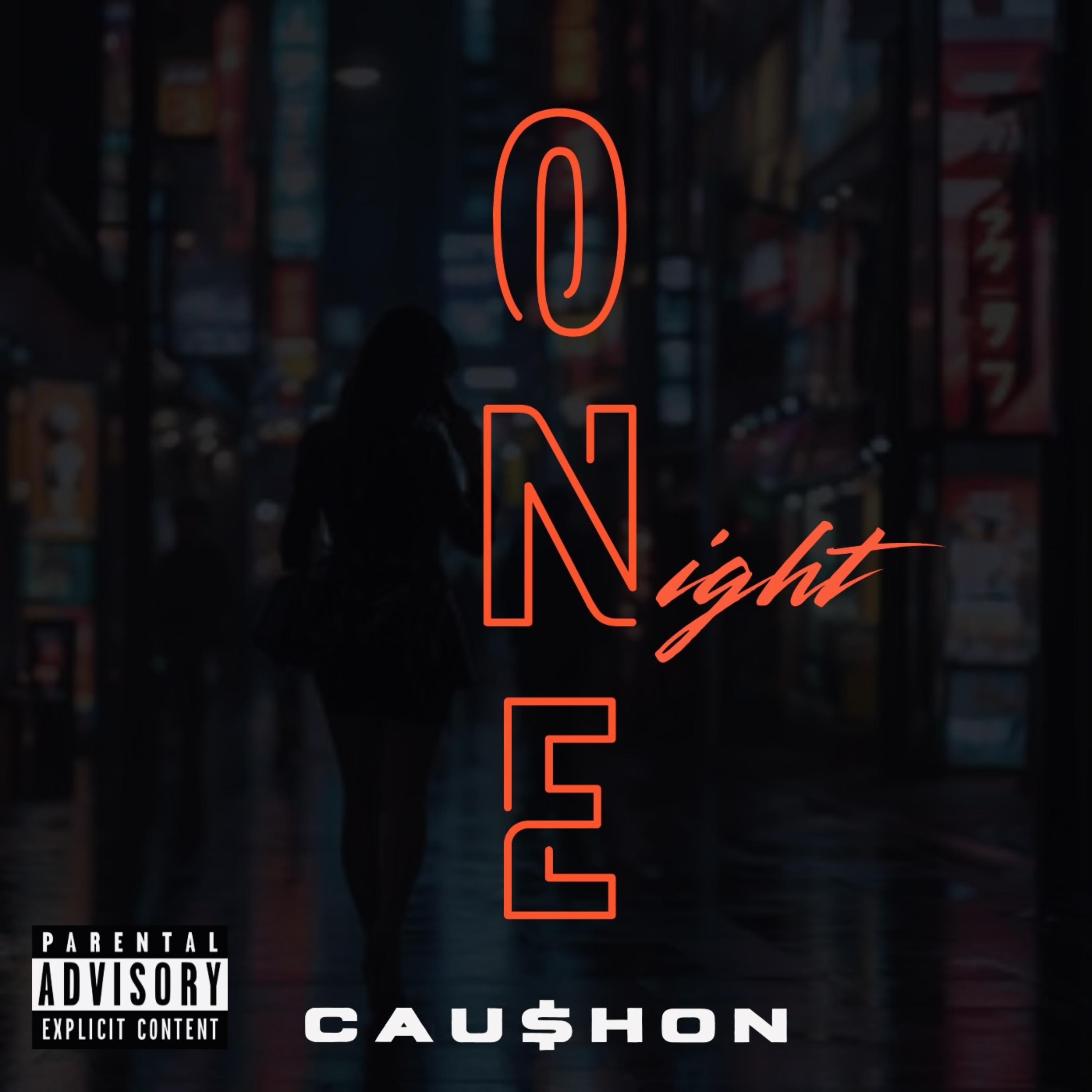 One night artwork