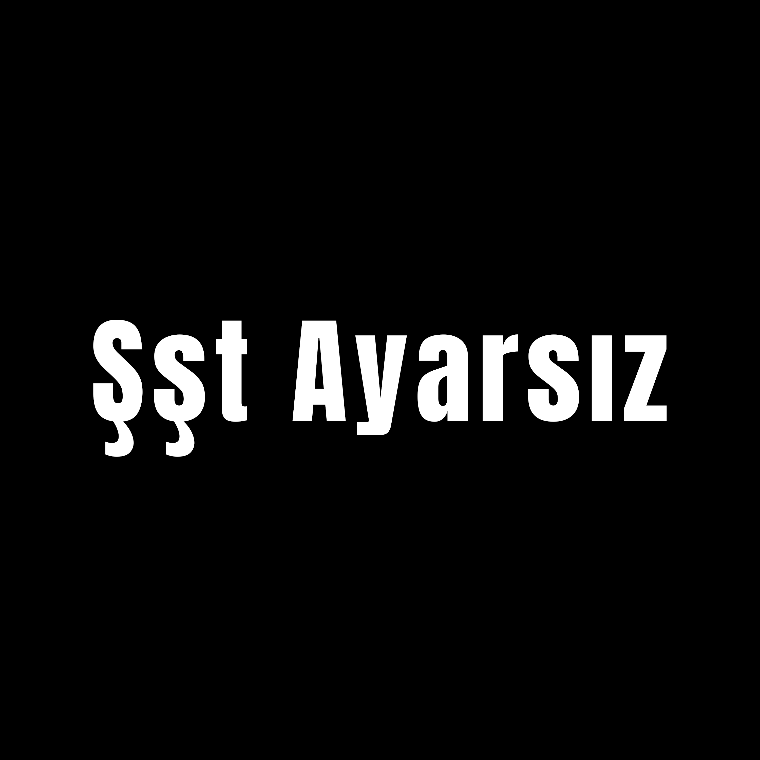 Şşt Ayarsız artwork