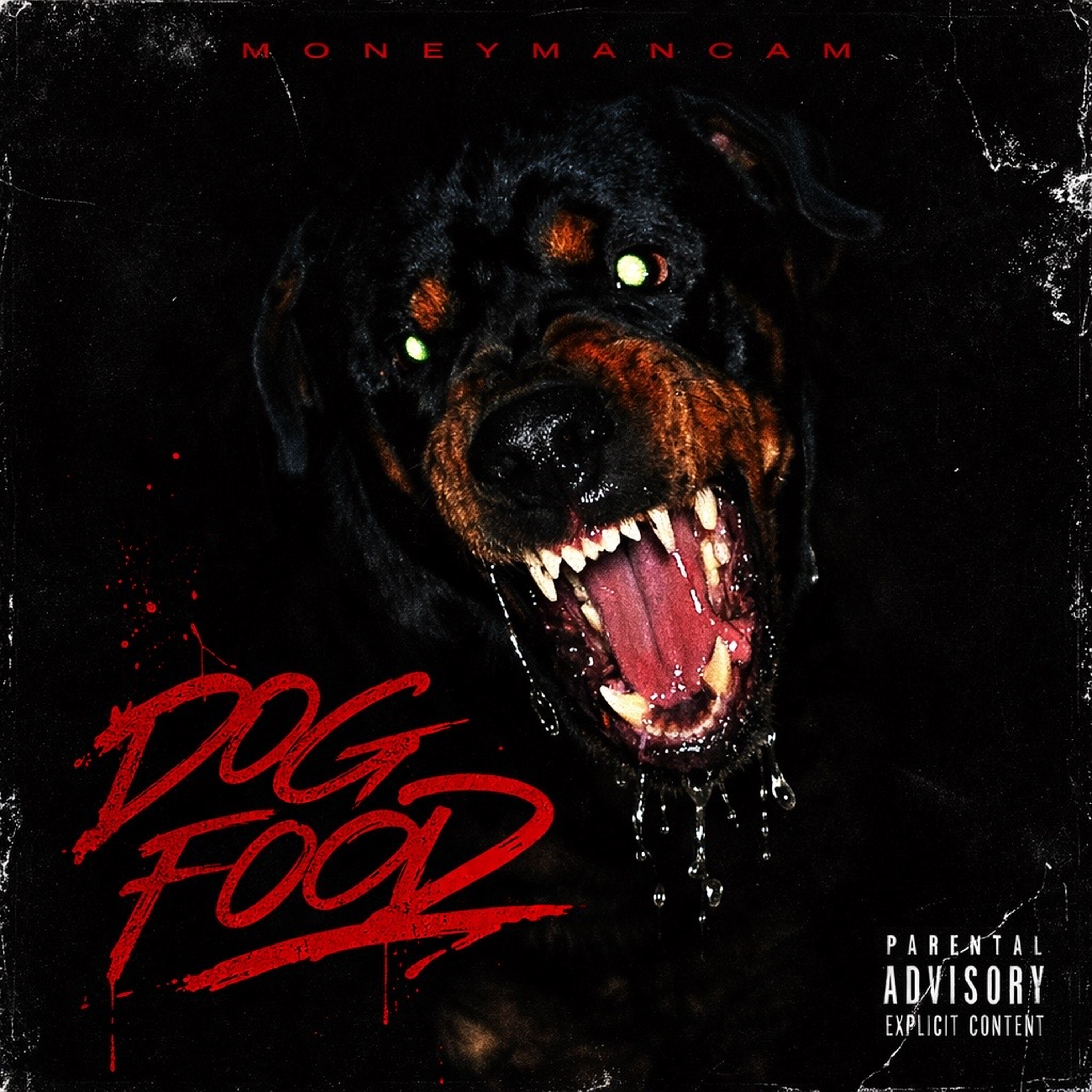 Dog Food artwork