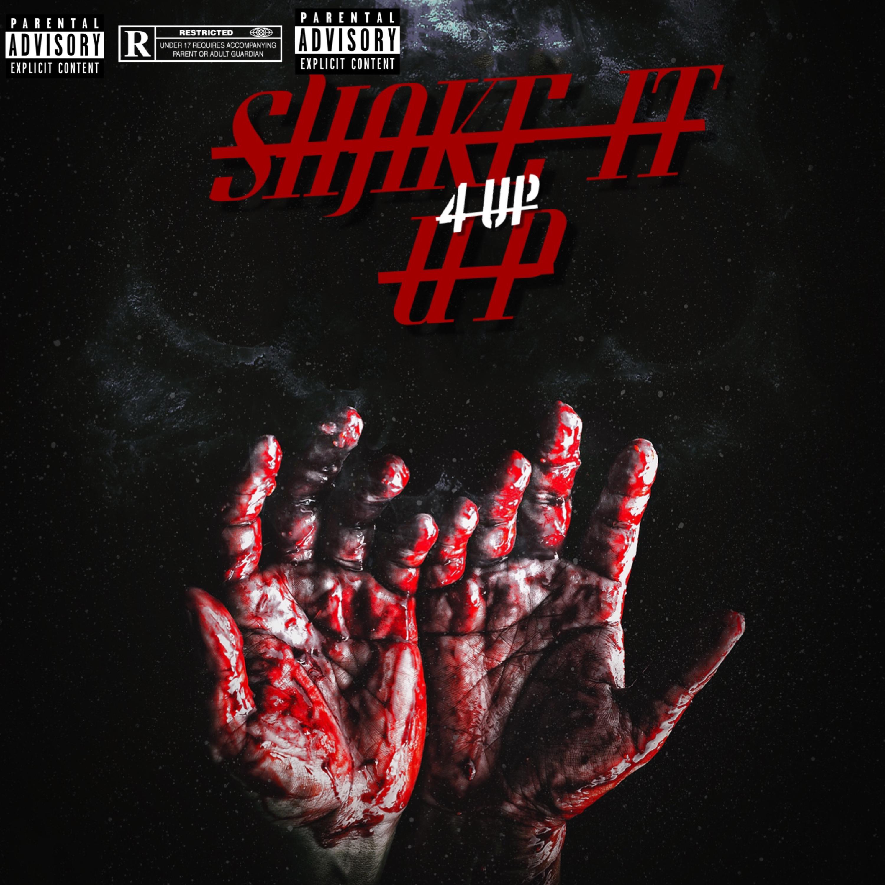 4 Up Shake It Up by Dub The Best Kept Secret cover art
