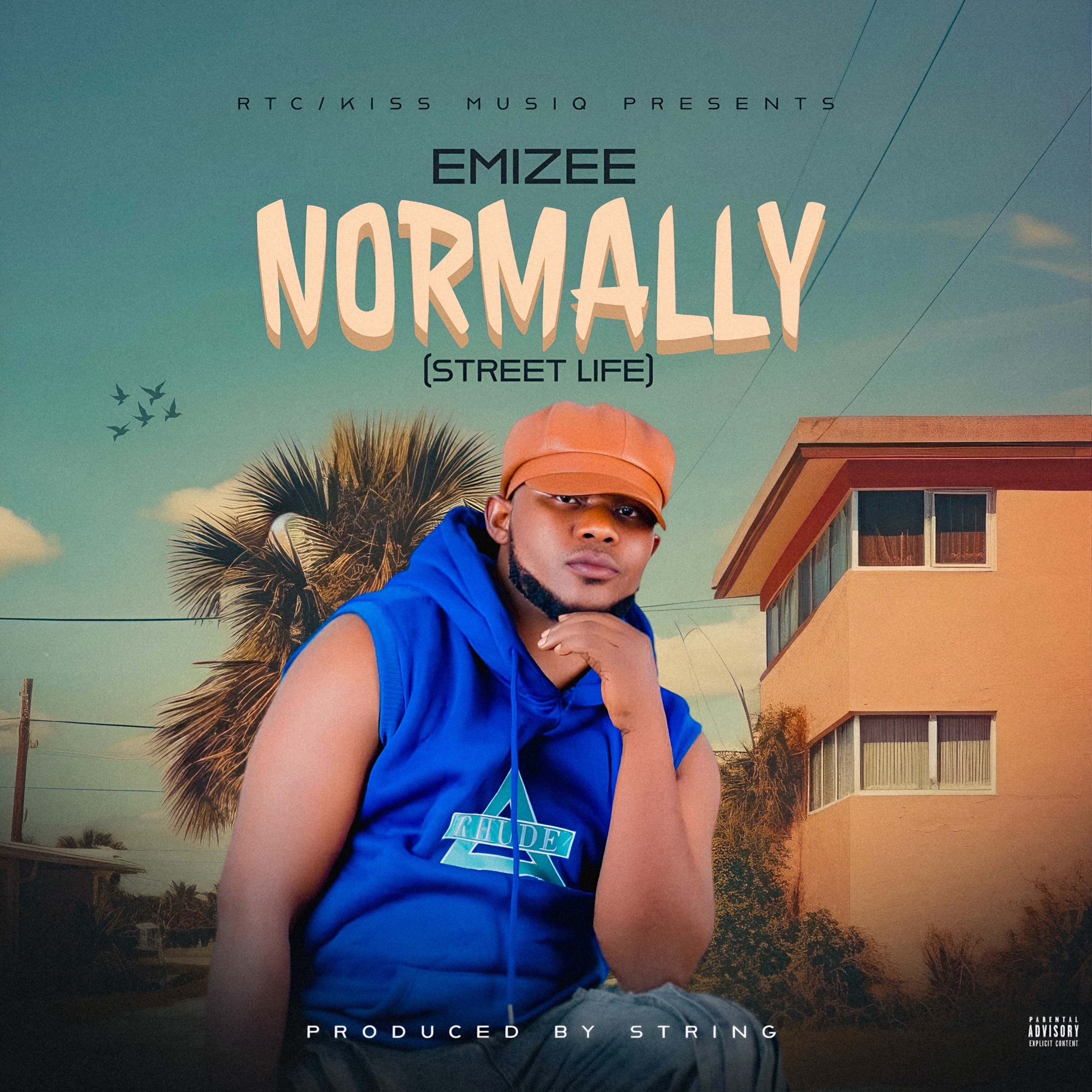 Normally (Street Life) artwork