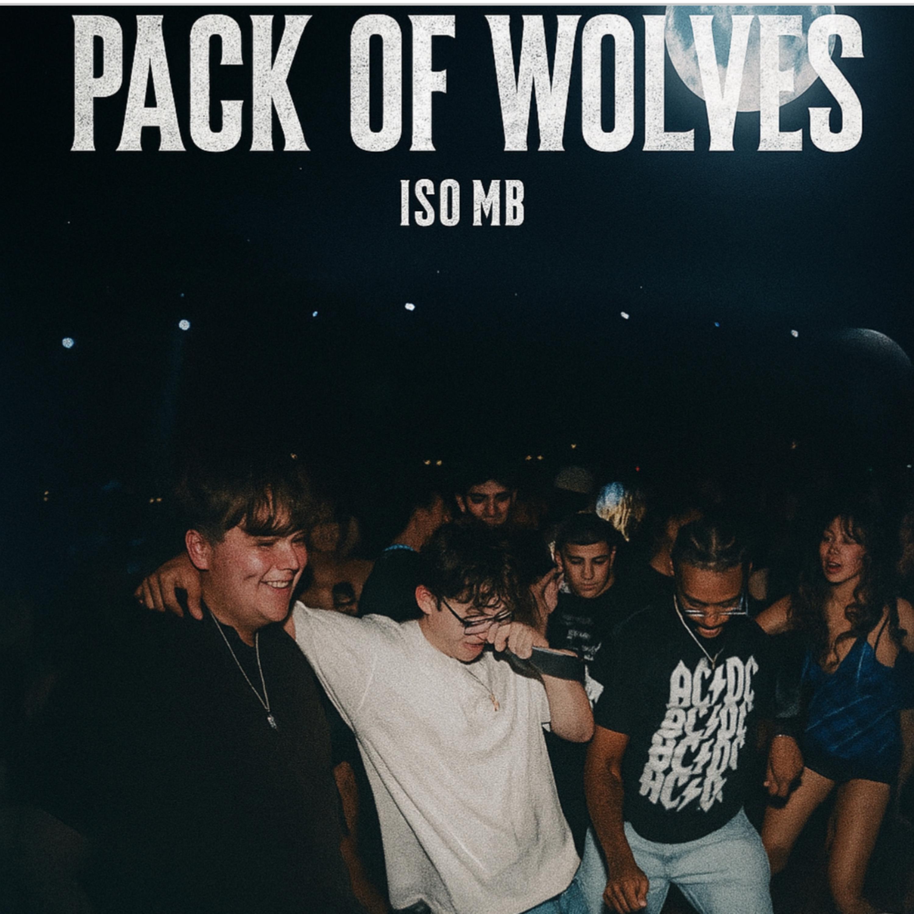 Pack Of Wolves by ISO MB cover art