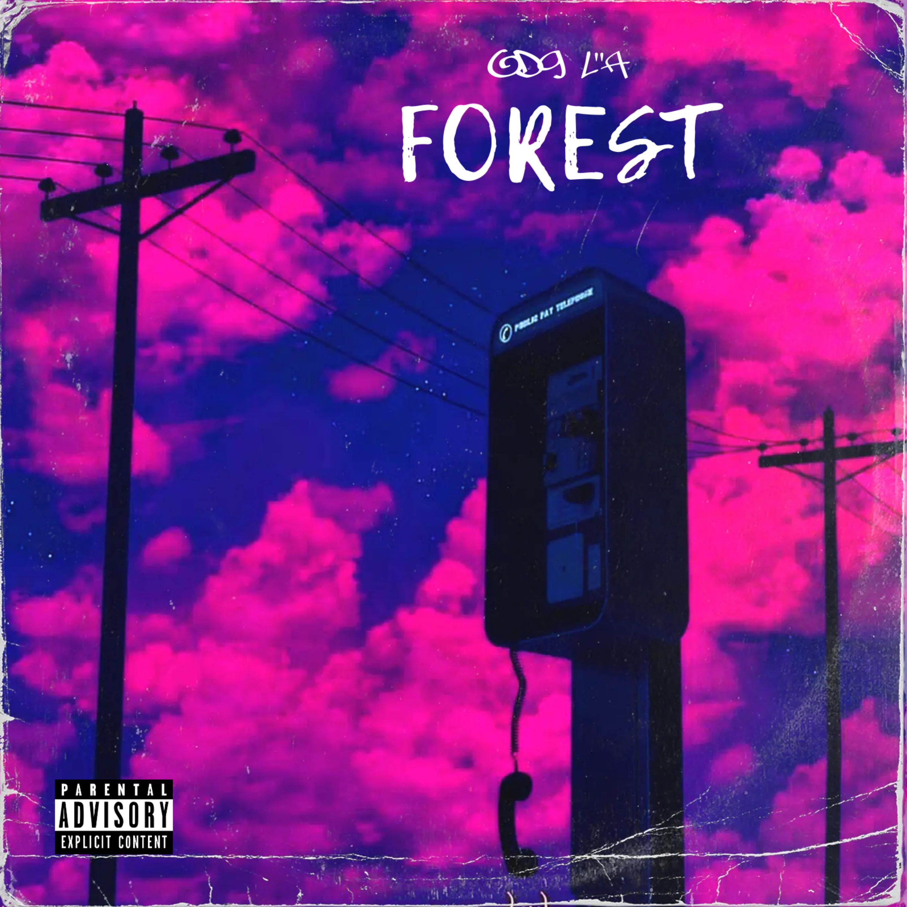 Forest artwork