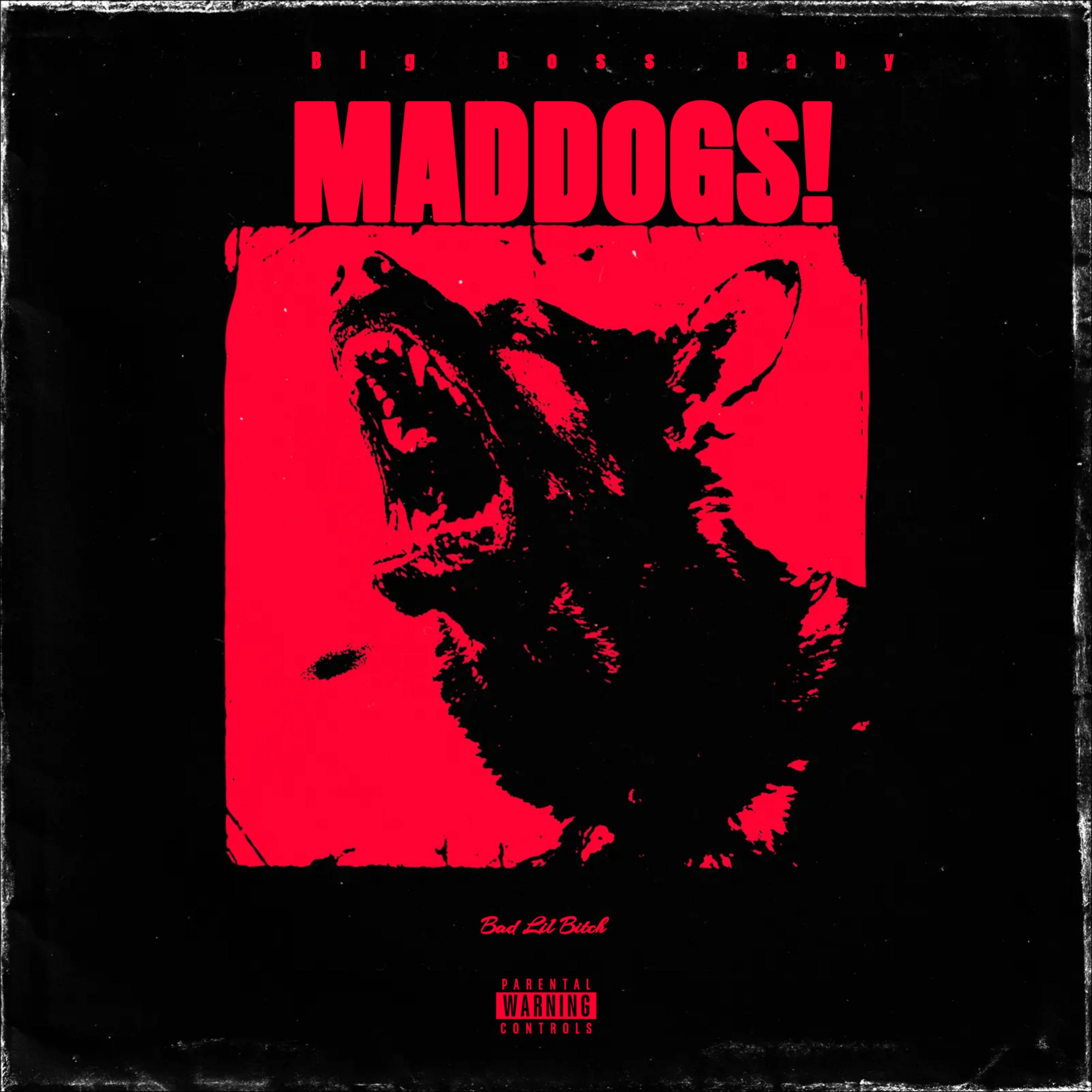 MADDOGS! artwork