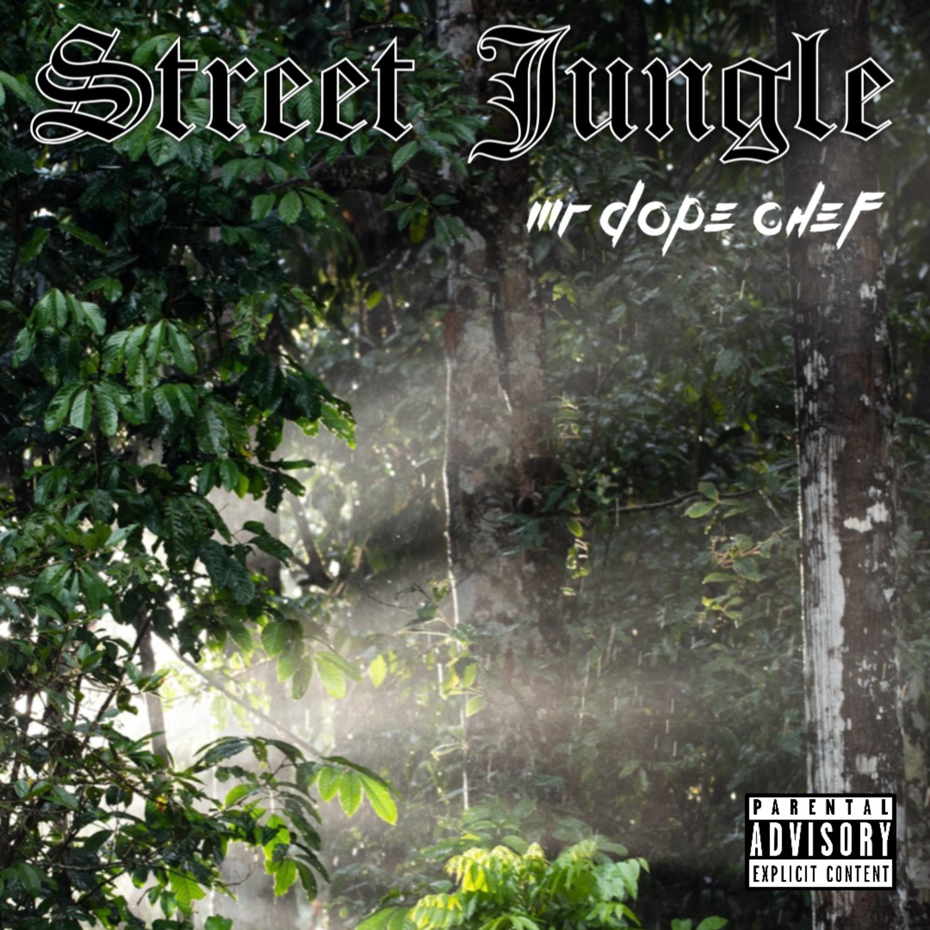 Street Jungle artwork