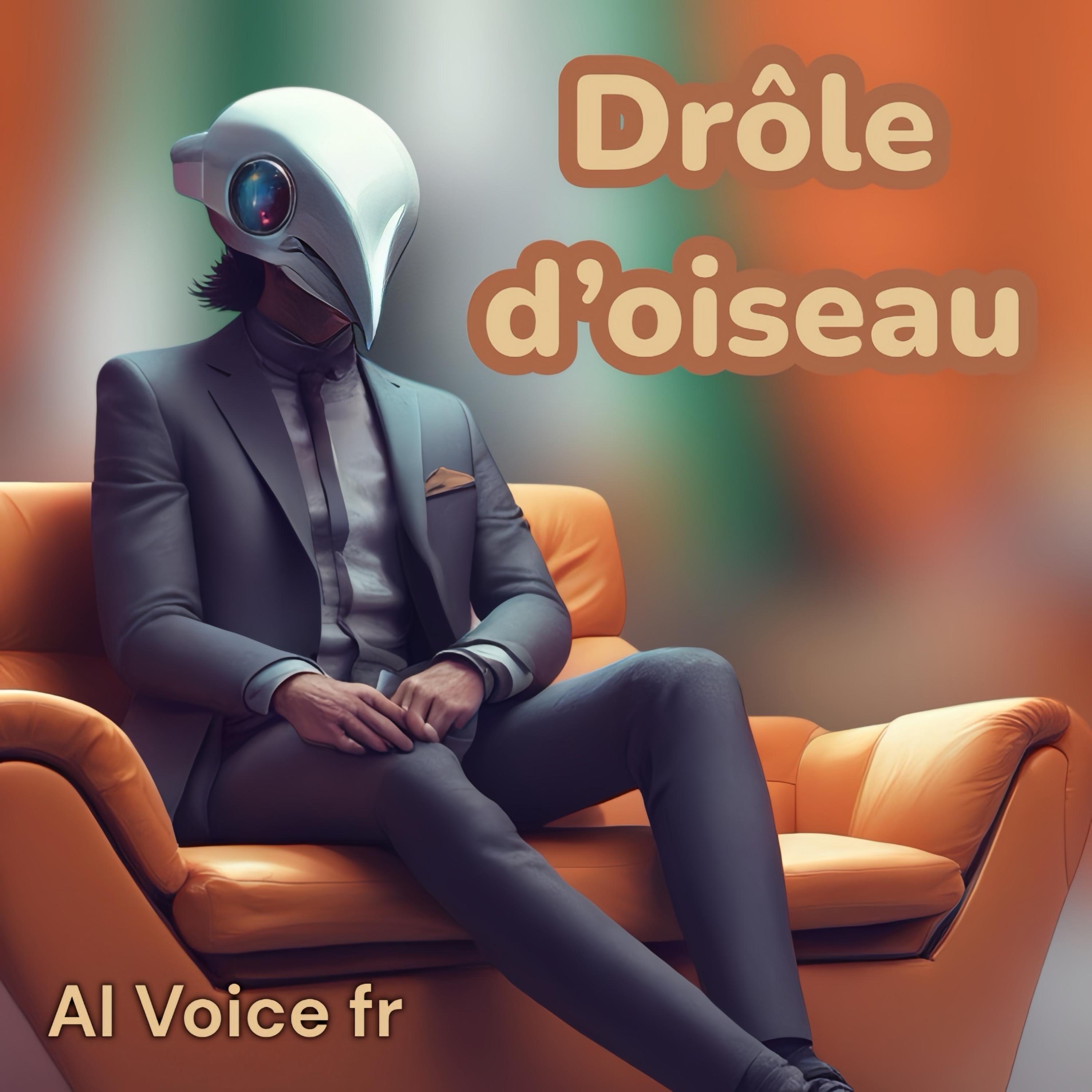 Drôle D’oiseau artwork