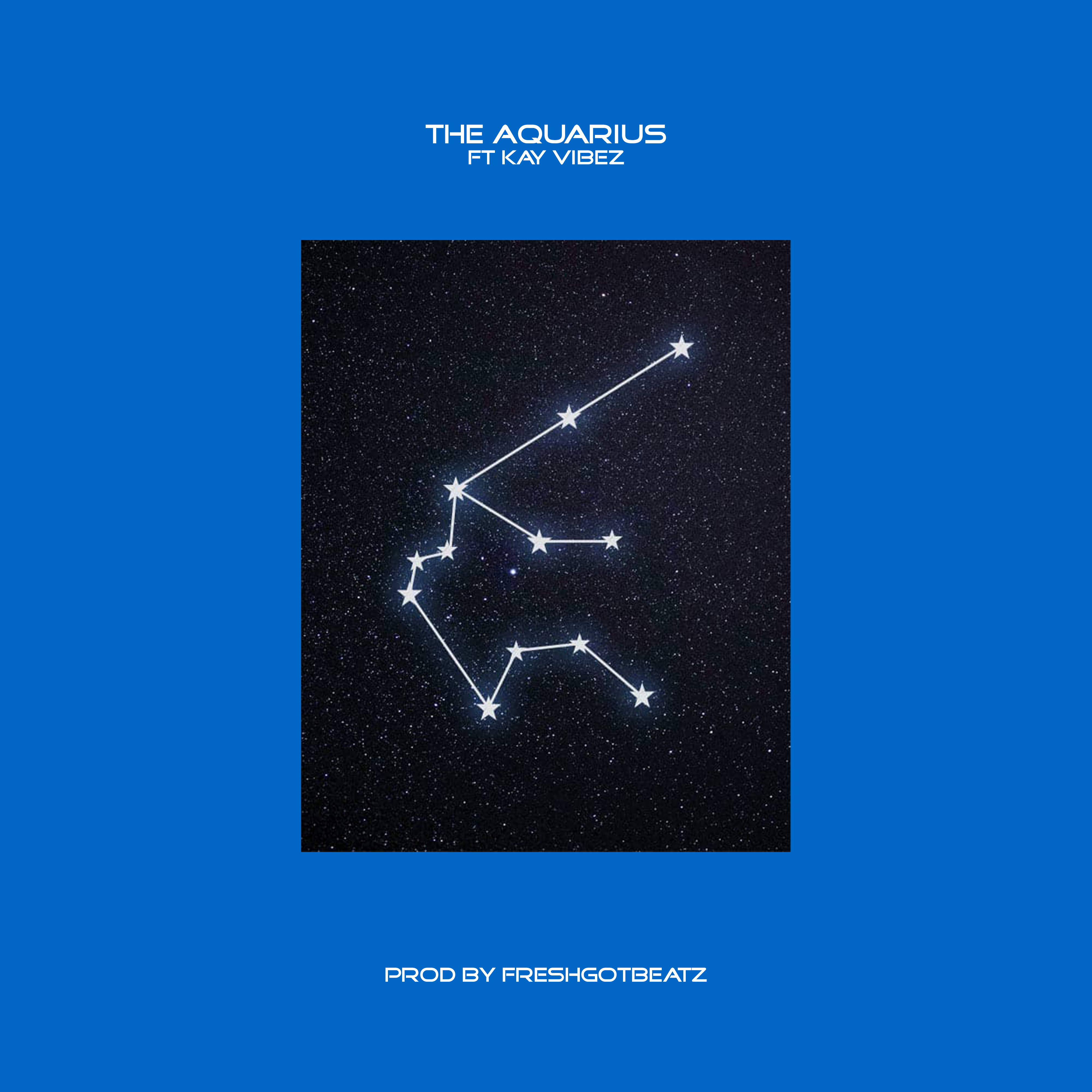 THE AQUARIUS by Ra Matthews cover art