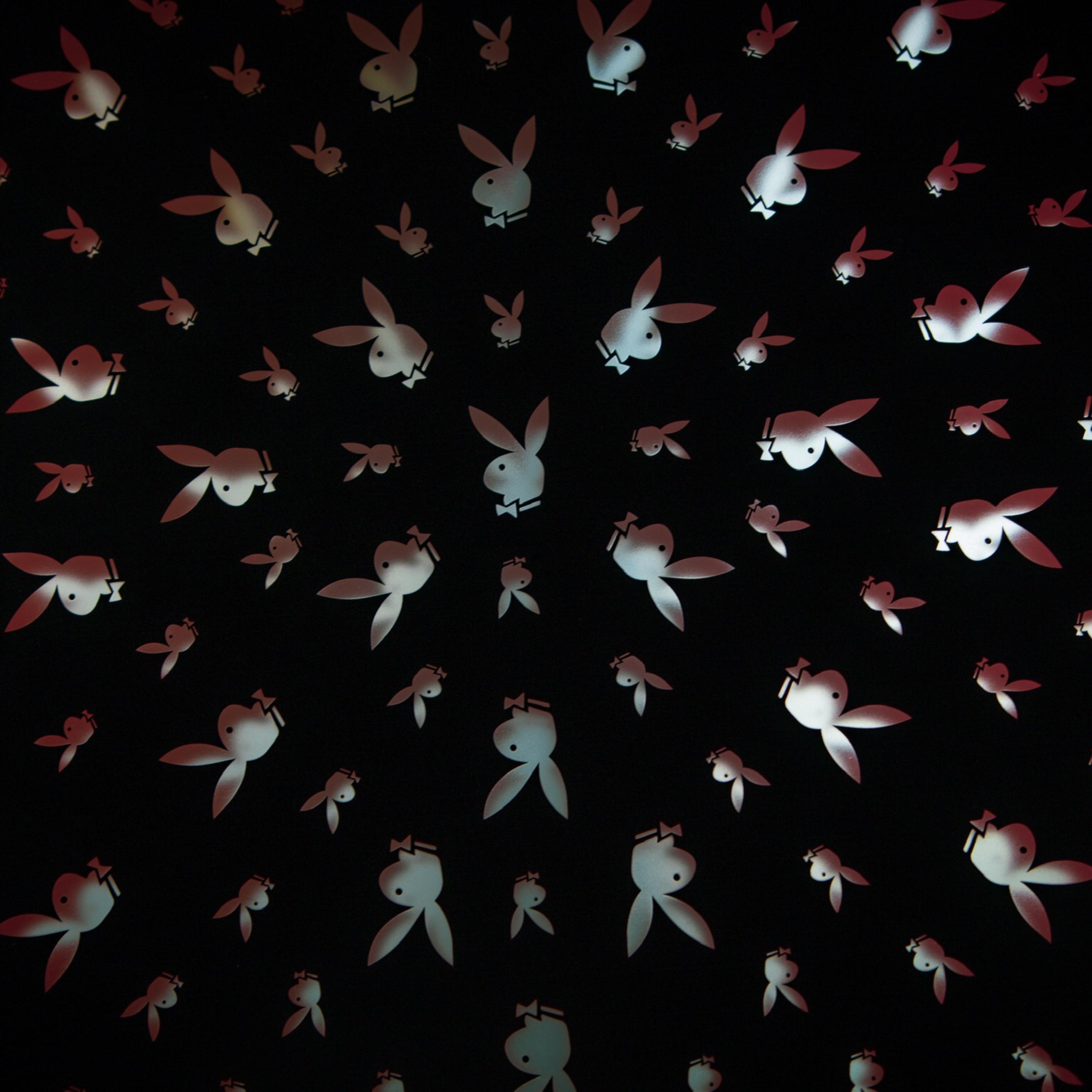 Playboi for all the freaky playboi bunnies artwork