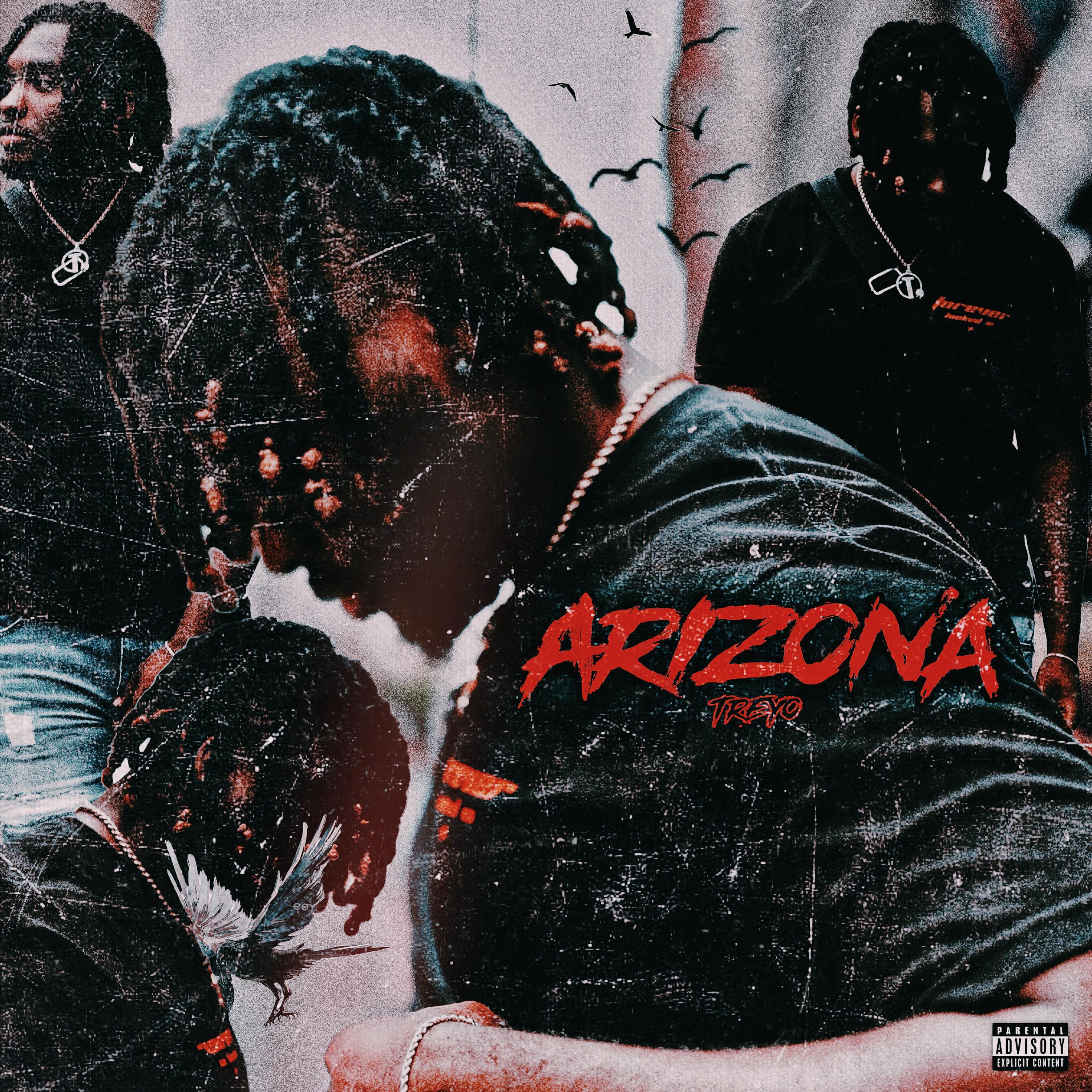 Arizona artwork