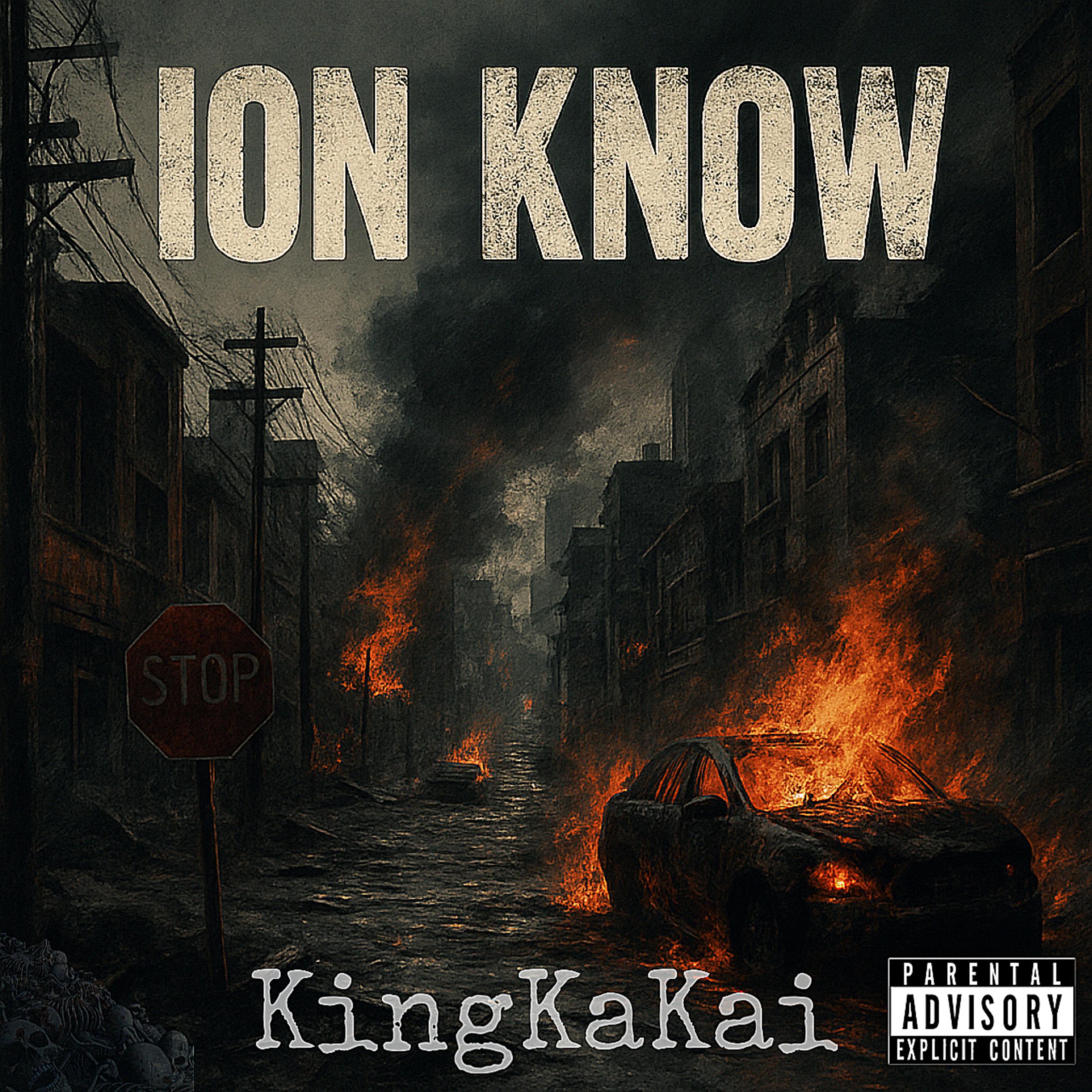 Ion Know artwork