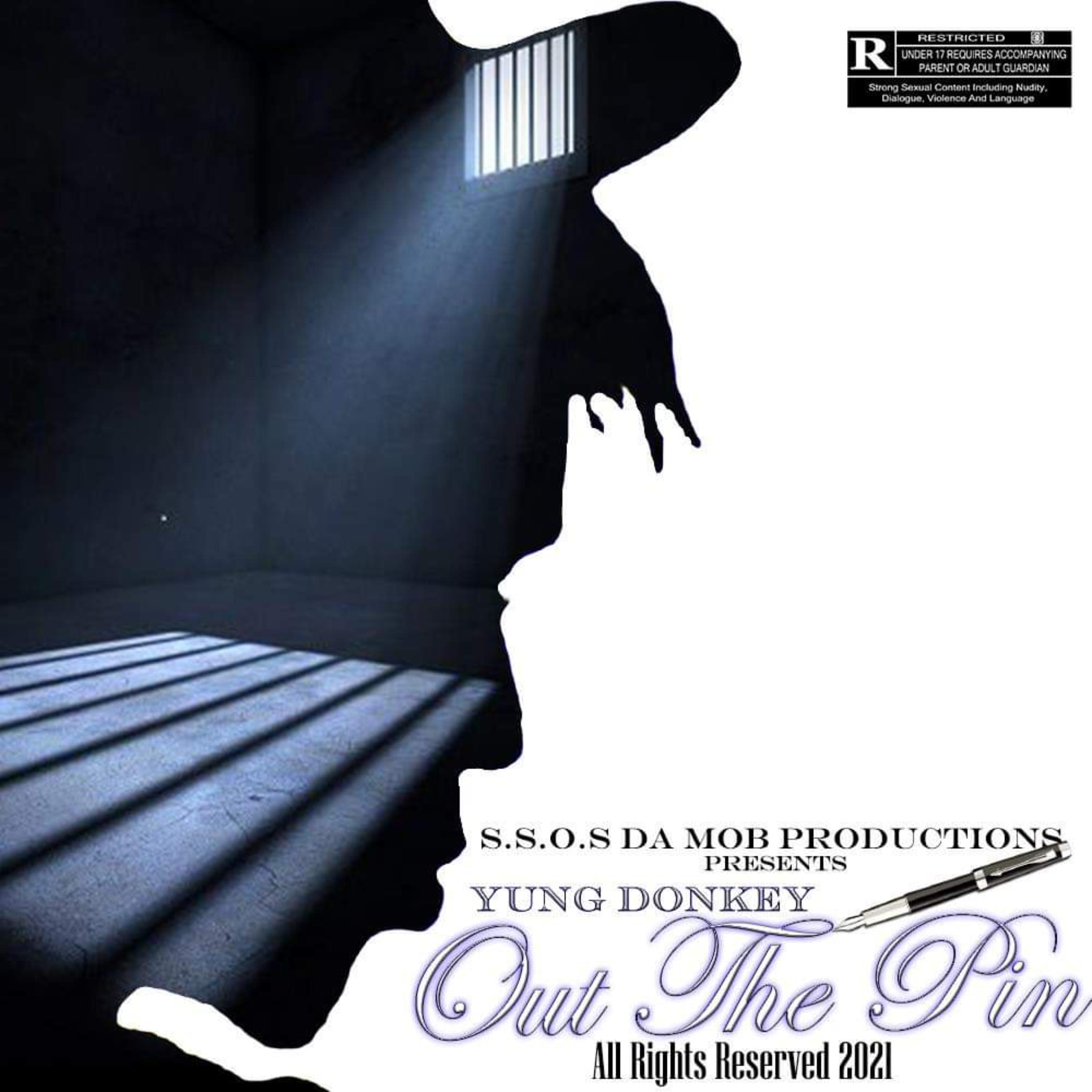 Out The Pin artwork