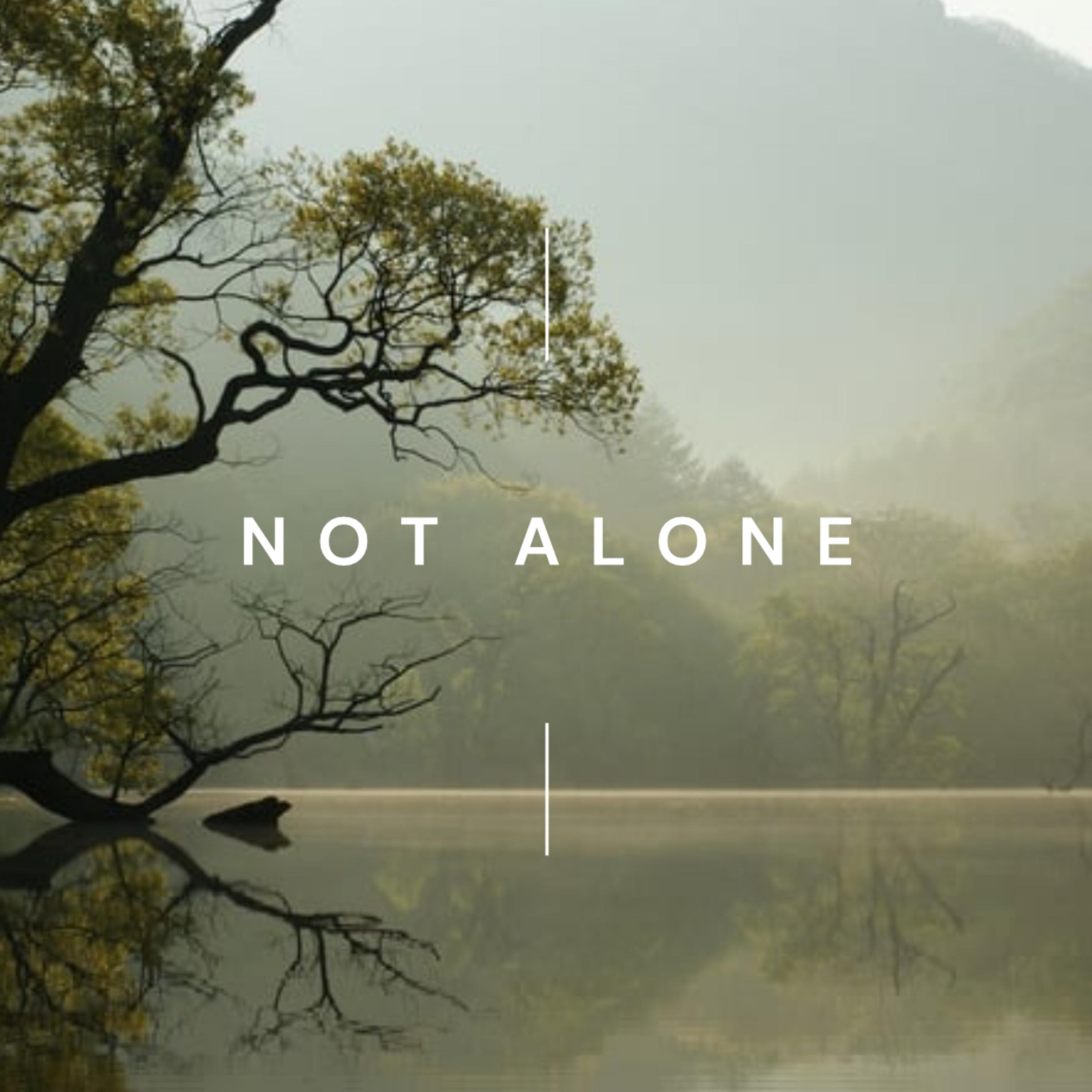 Not Alone artwork