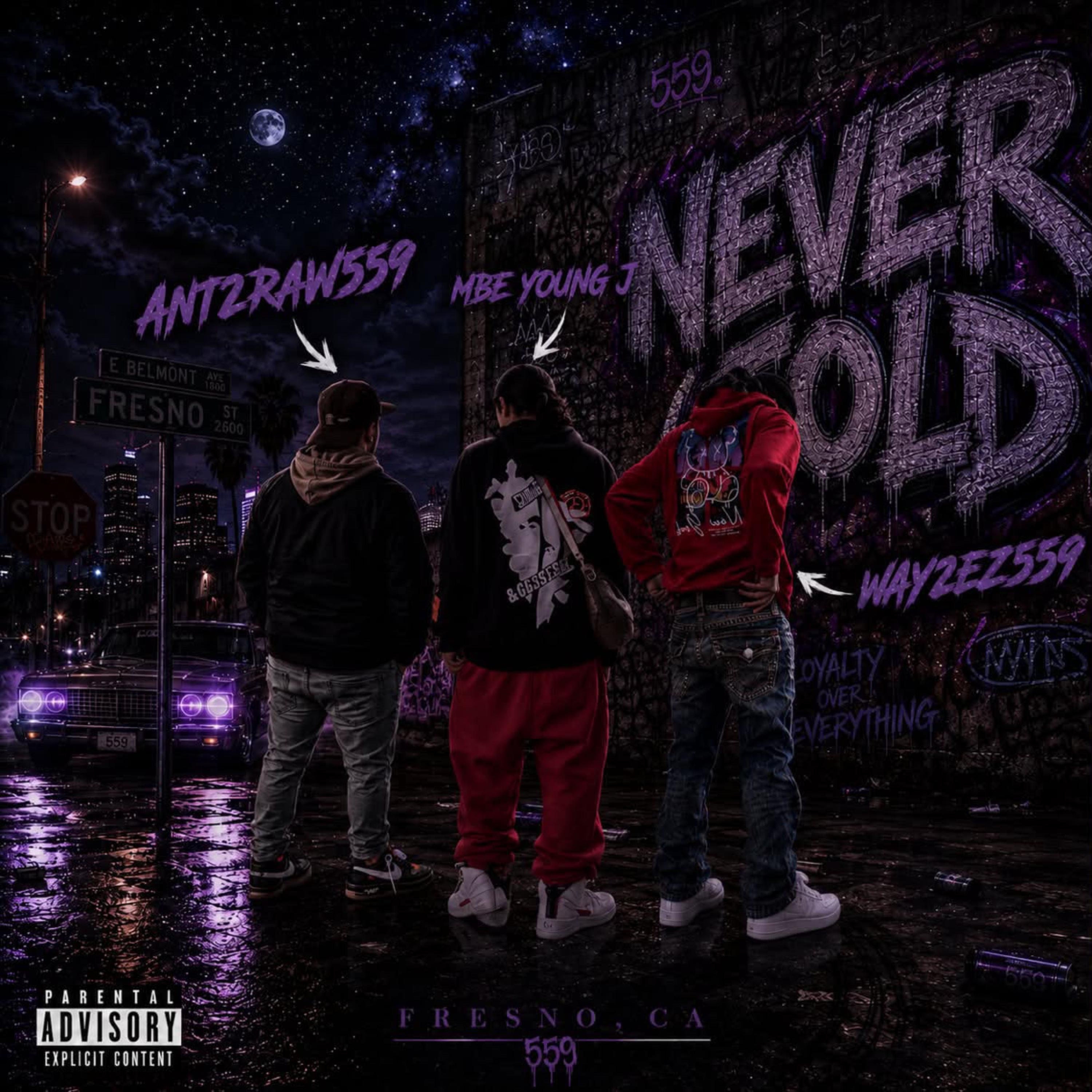 Never Fold / Never Change !¡ by Anthønys Music cover art