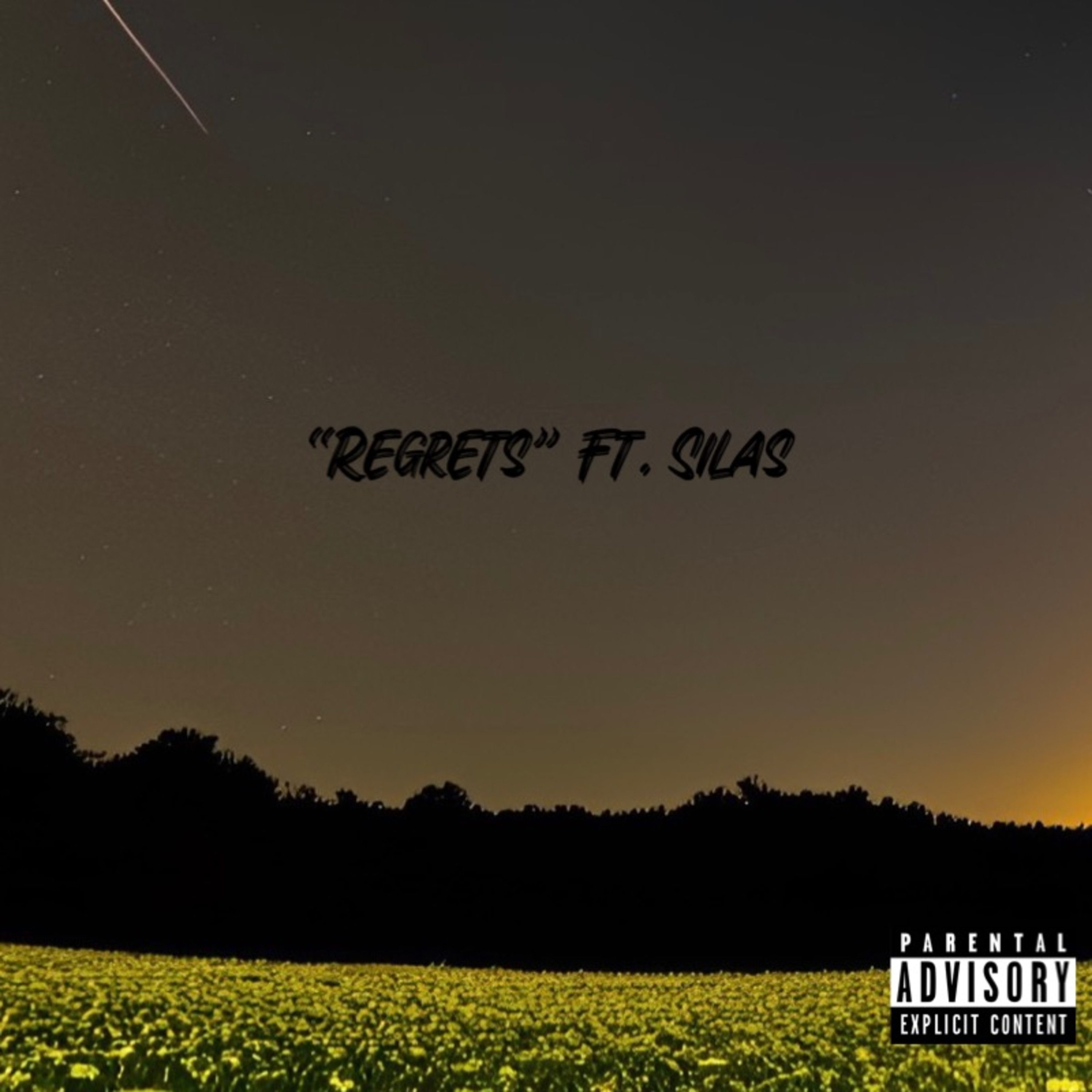 Regrets artwork
