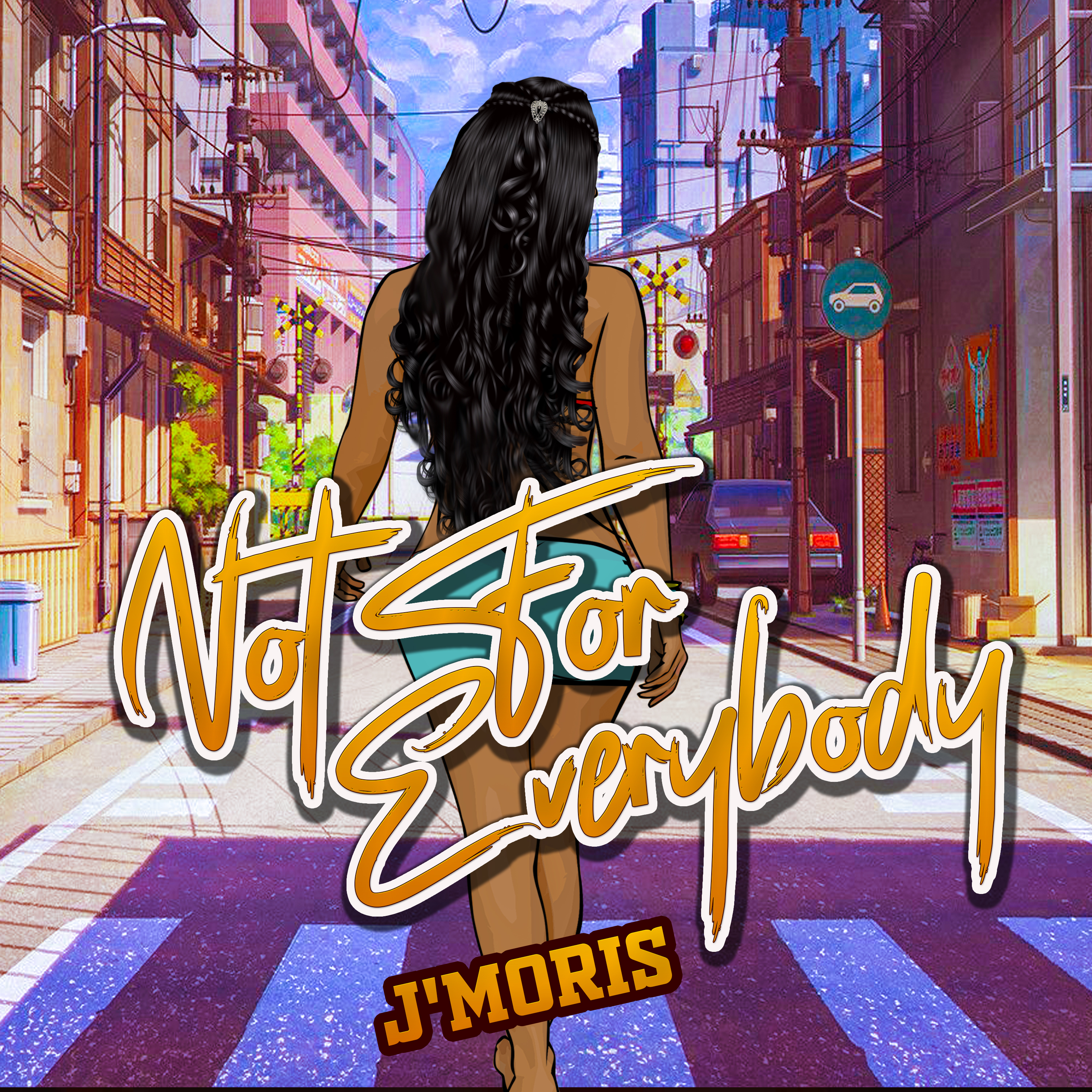 Not For Everybody artwork