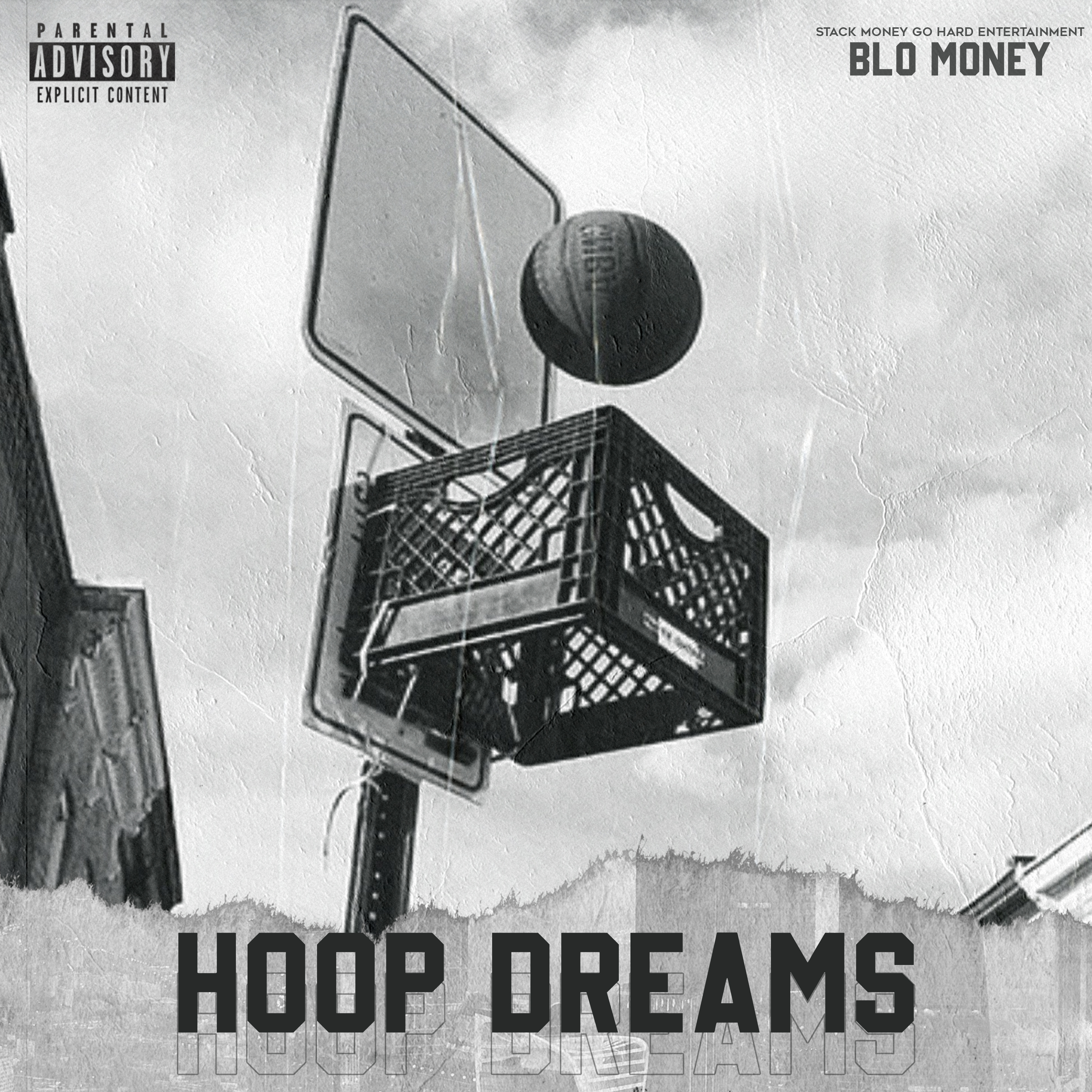 Hoop Dreams artwork