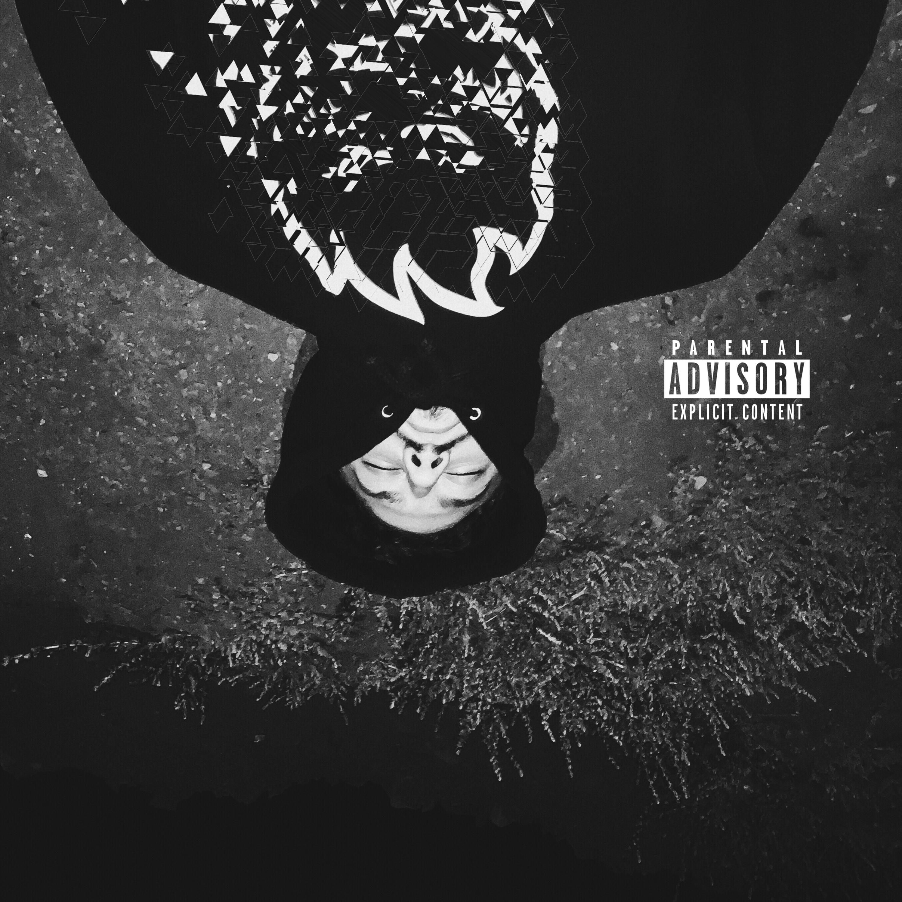 Swollen artwork