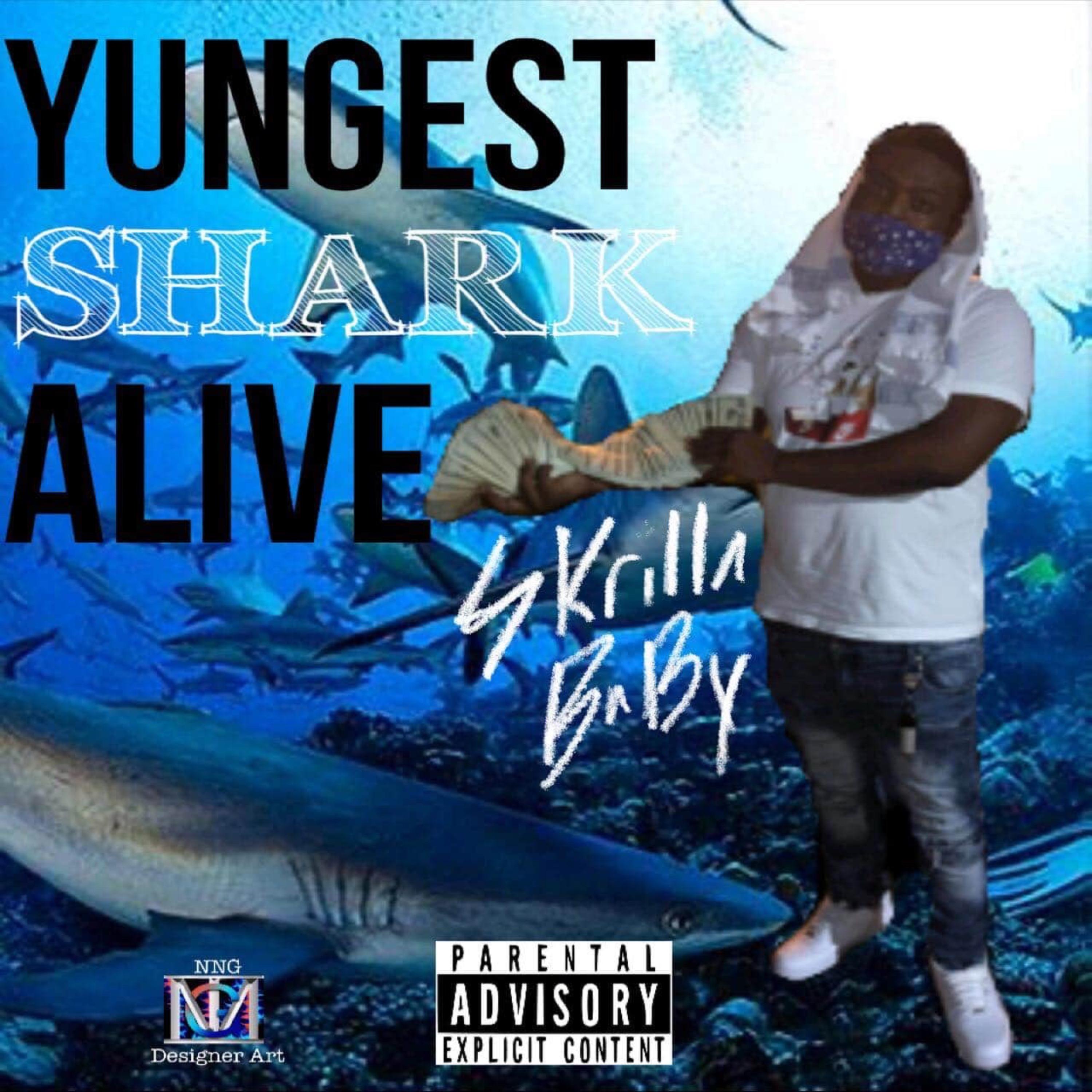 Yungest Shark Alive artwork