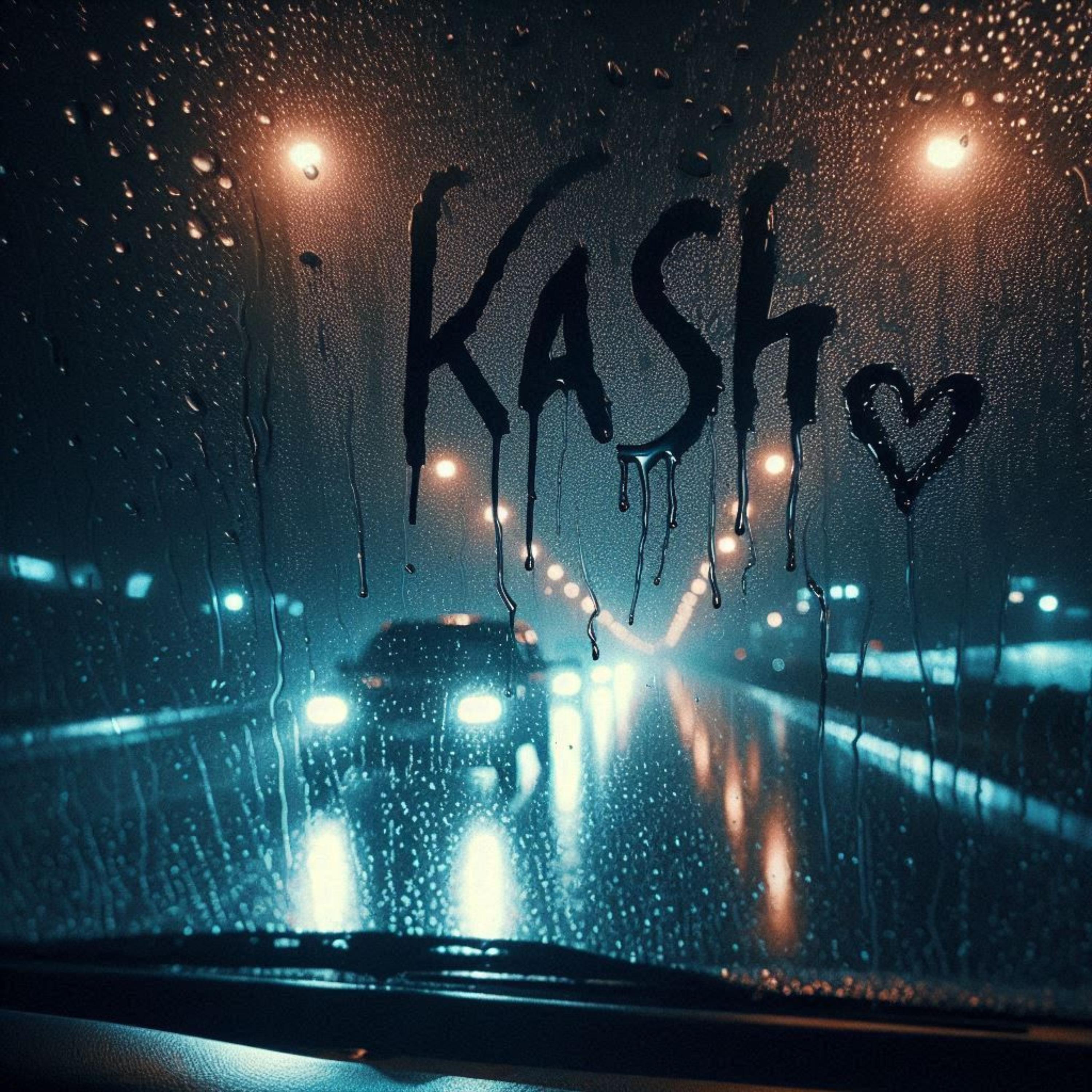 Meet Kash! artwork