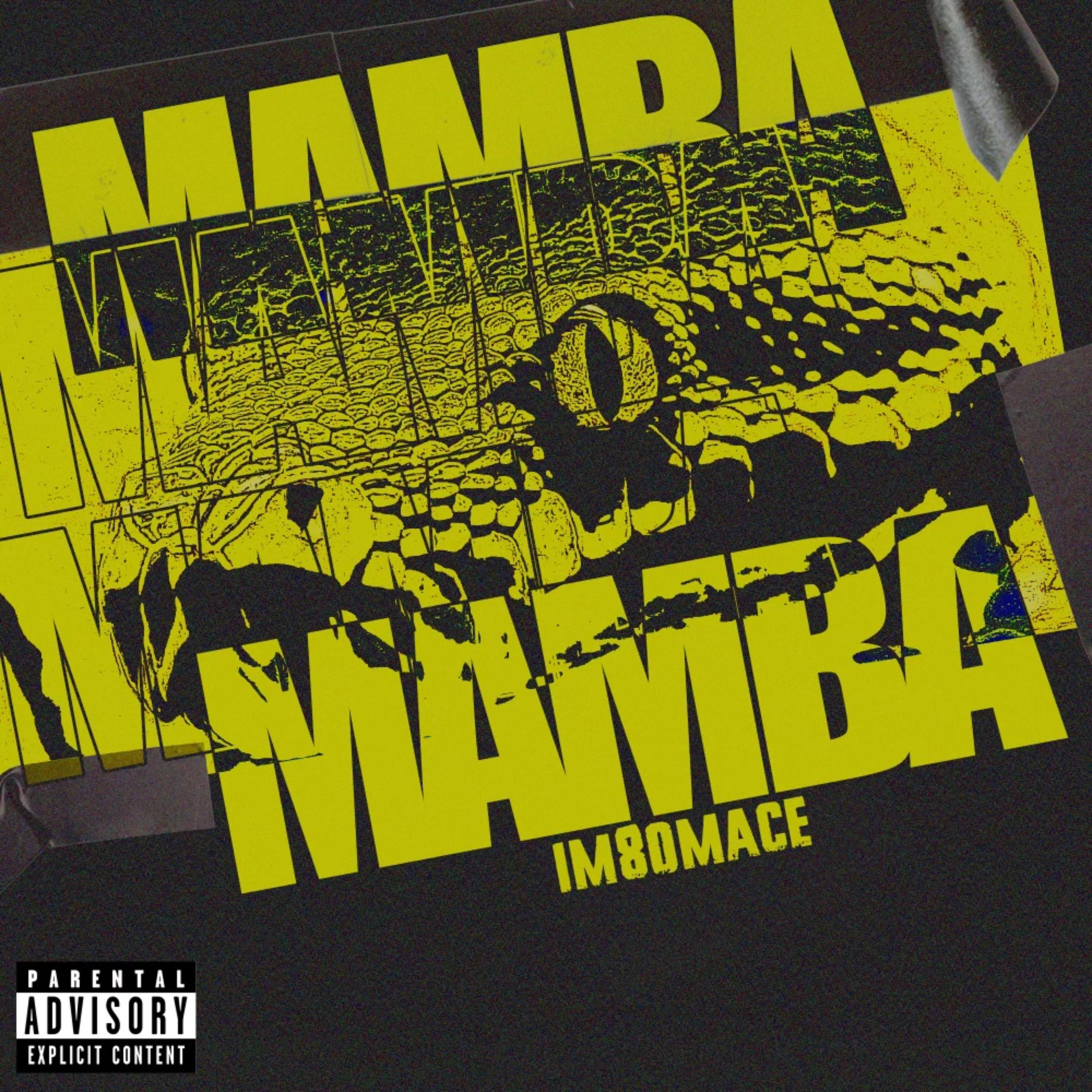 MAMBA artwork