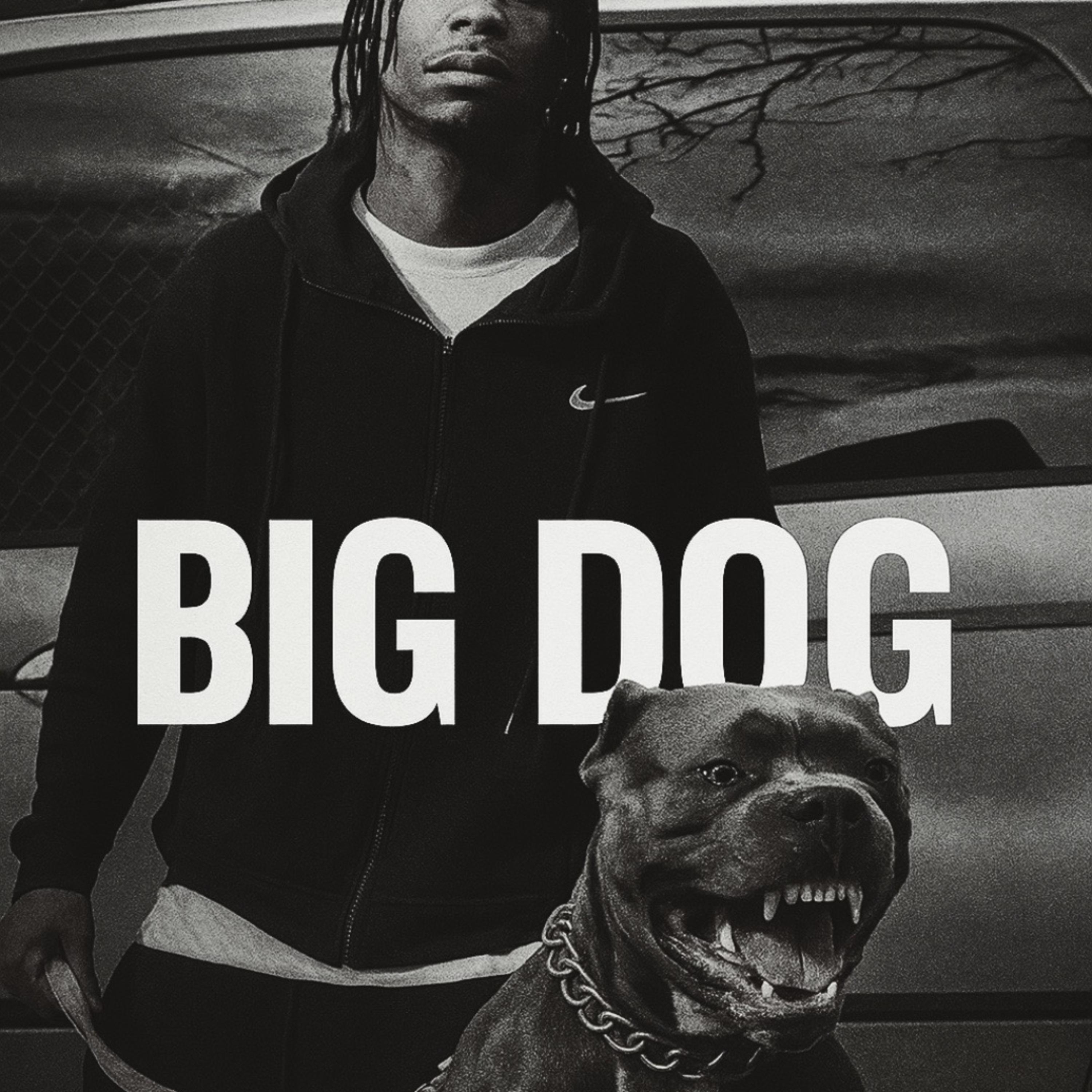 Big Dog artwork