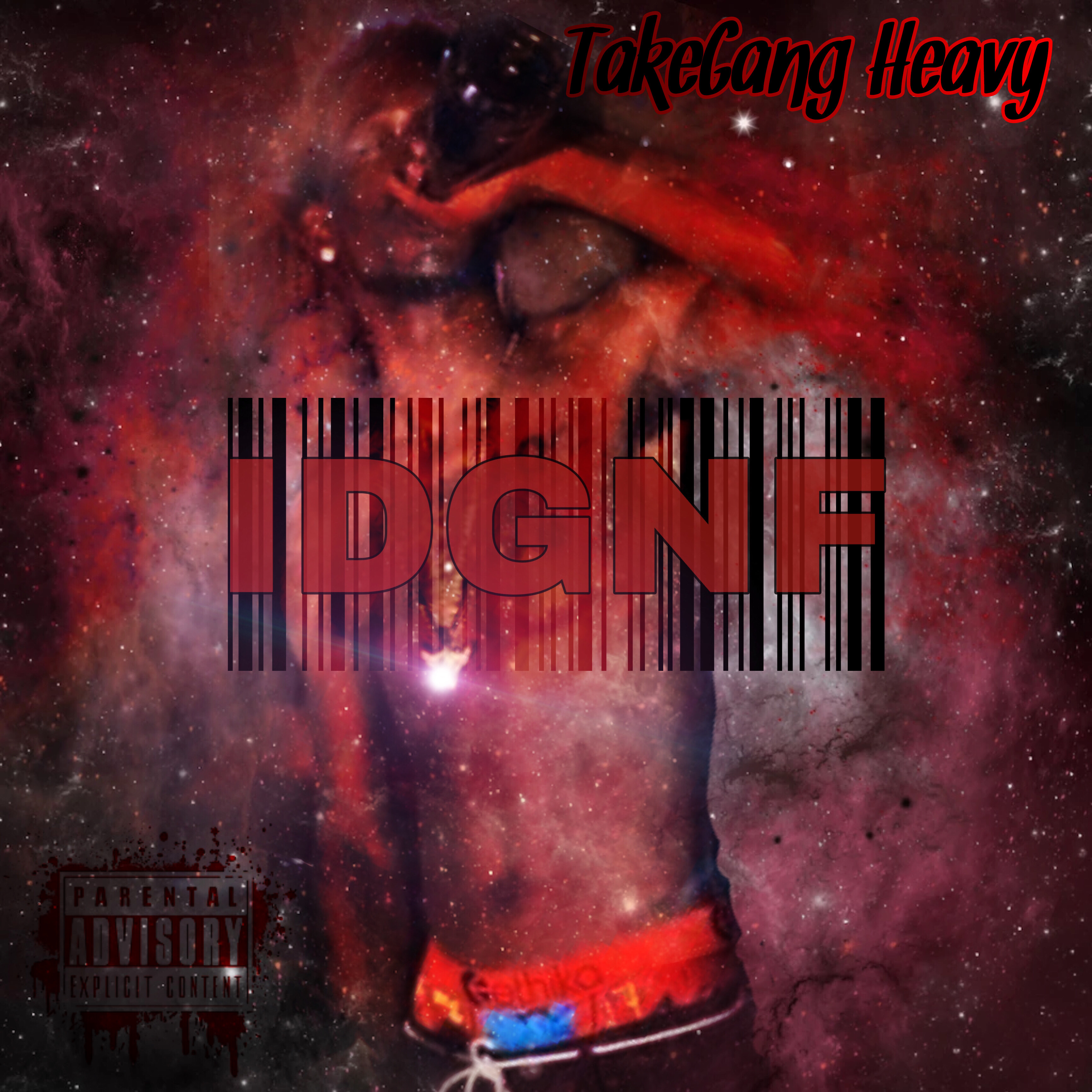 IDGNF artwork