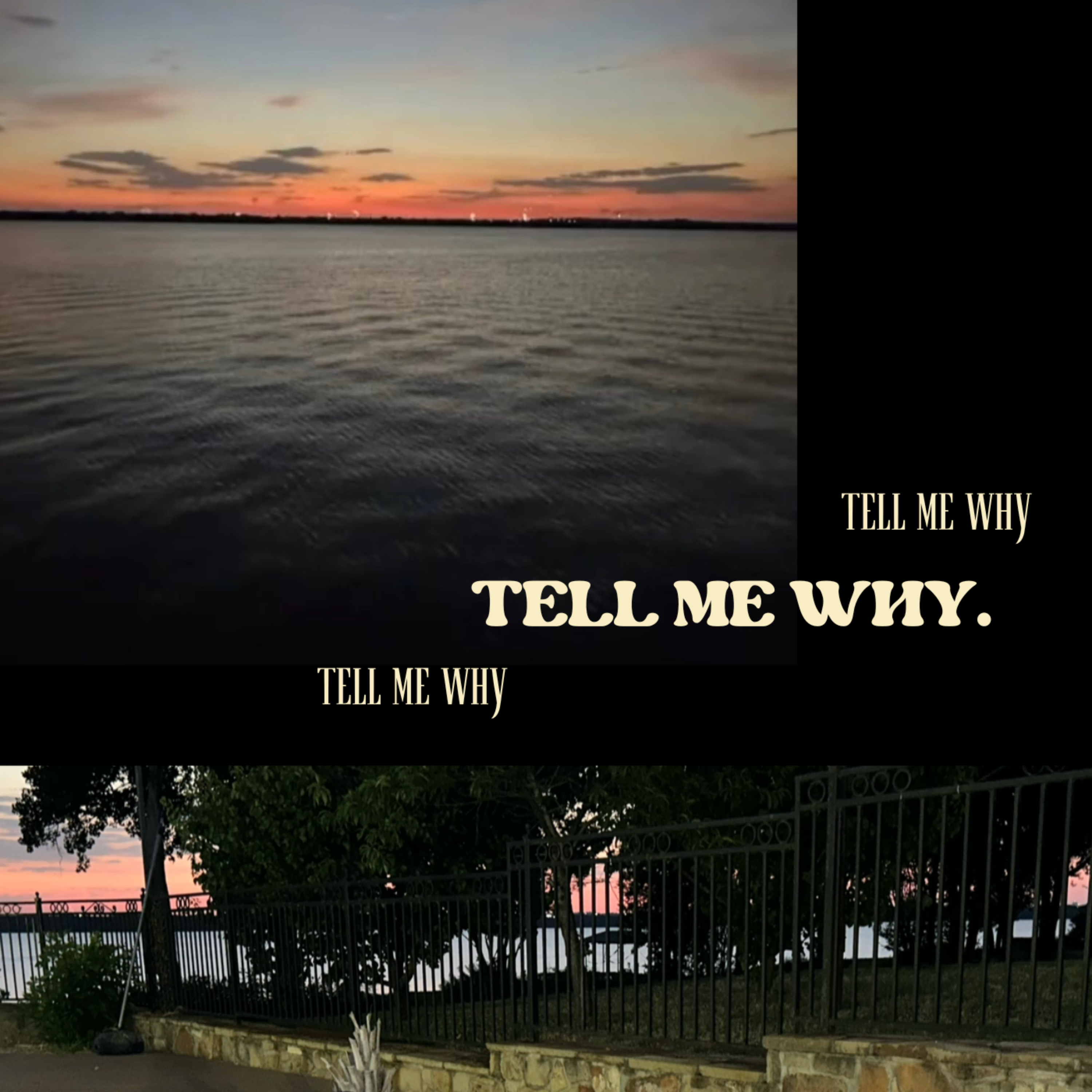 TELLMEWHY artwork