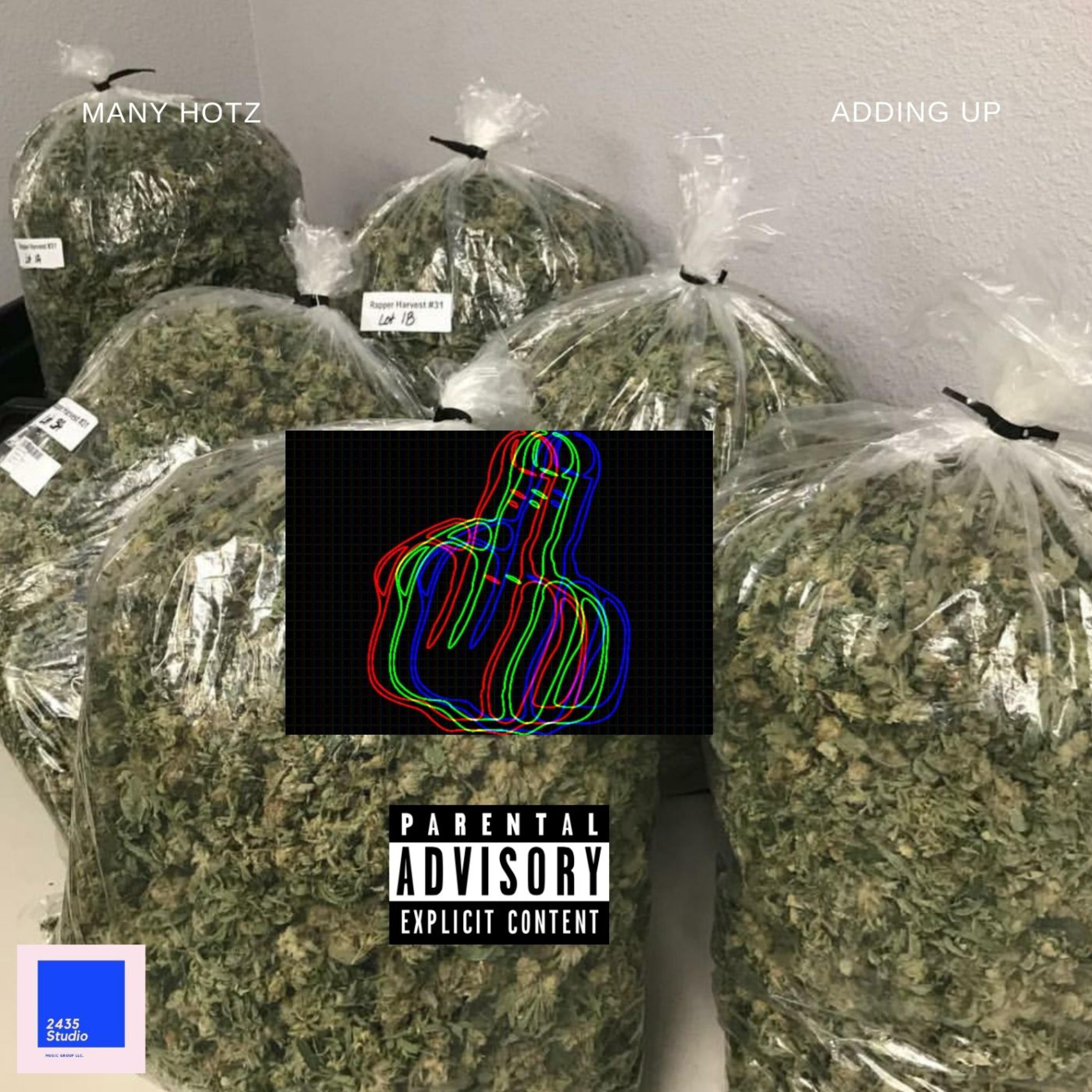 Adding up by Many Hotz cover art