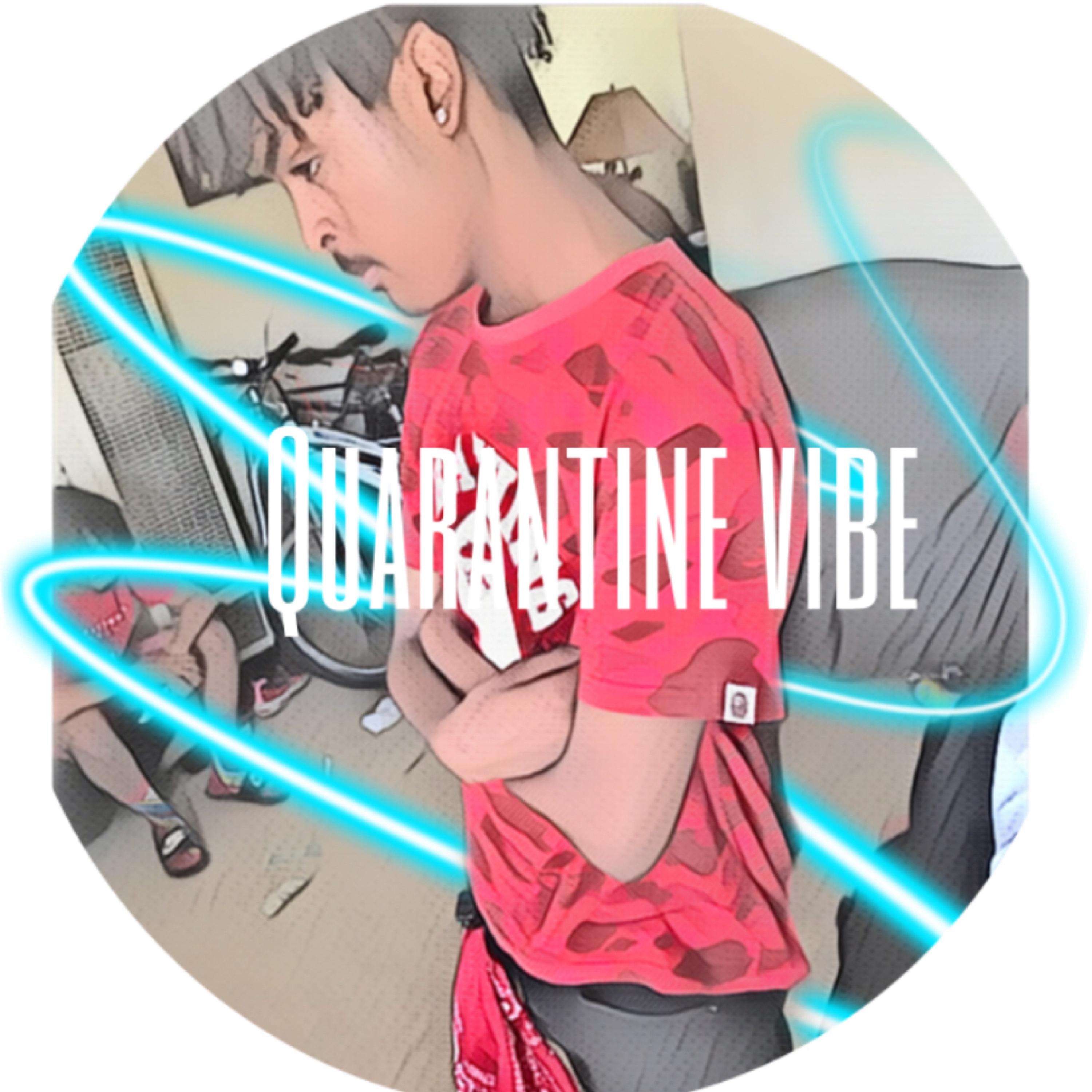 Quarintine Vibe artwork
