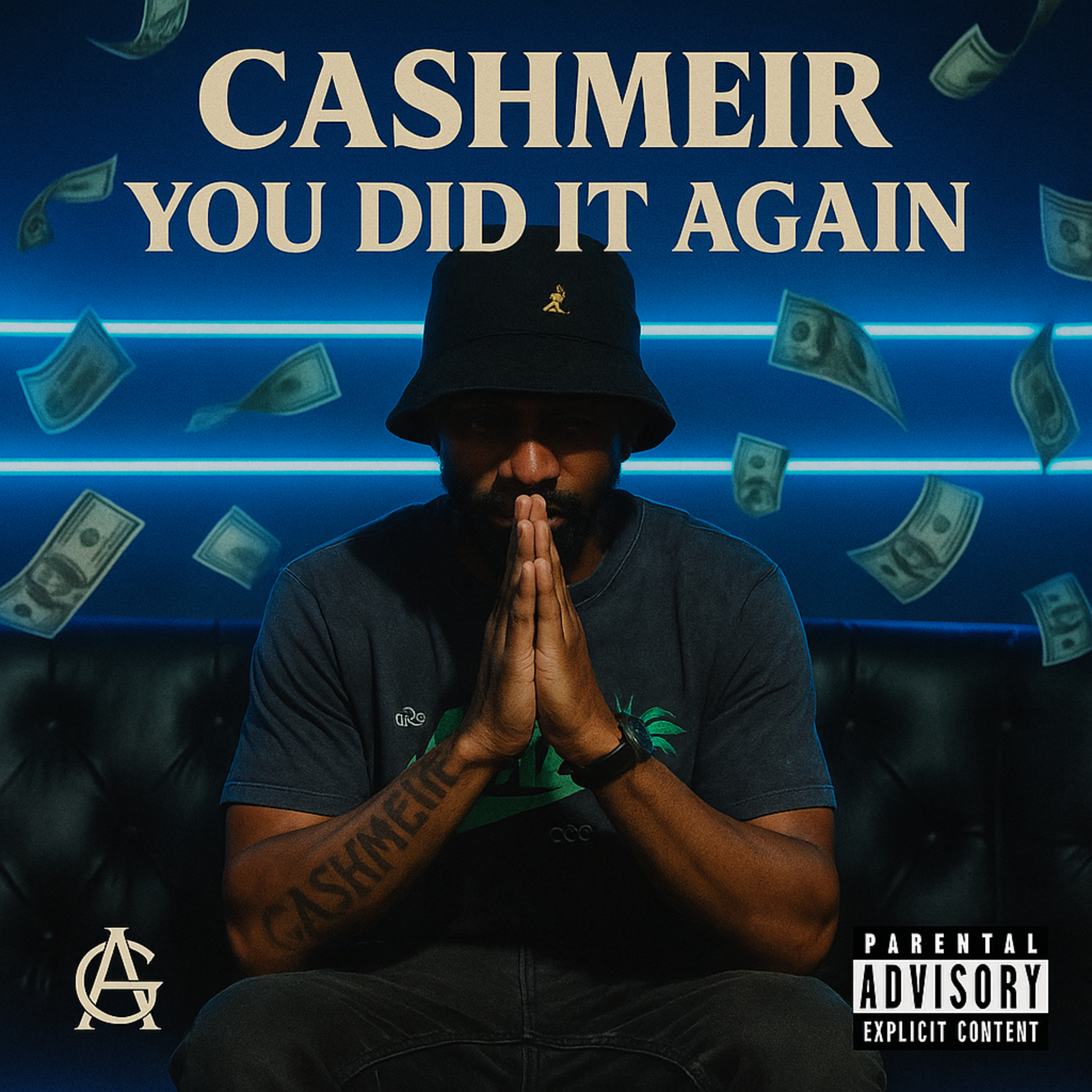 cashmeir you did it again artwork