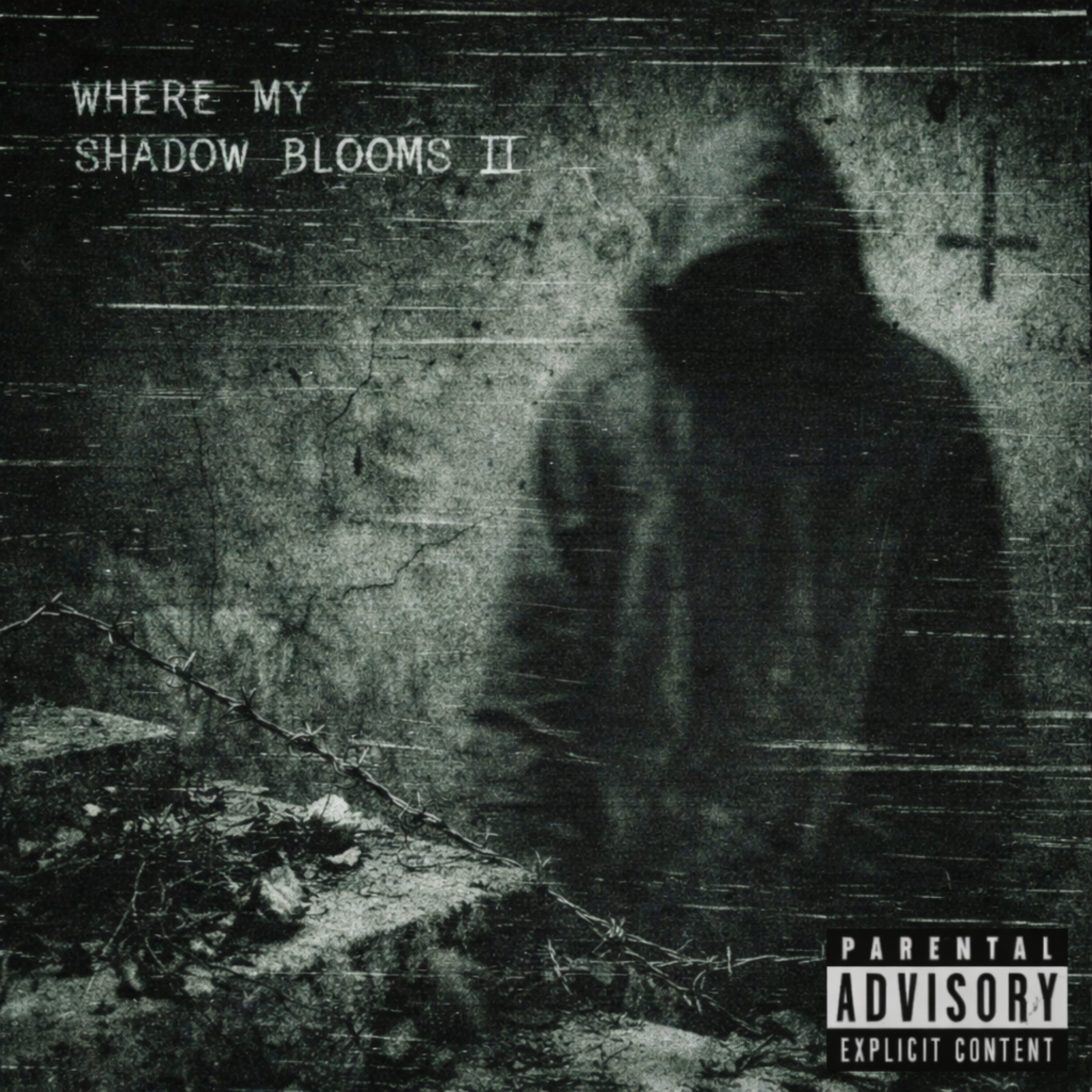 Where My Shadow Blooms ll artwork