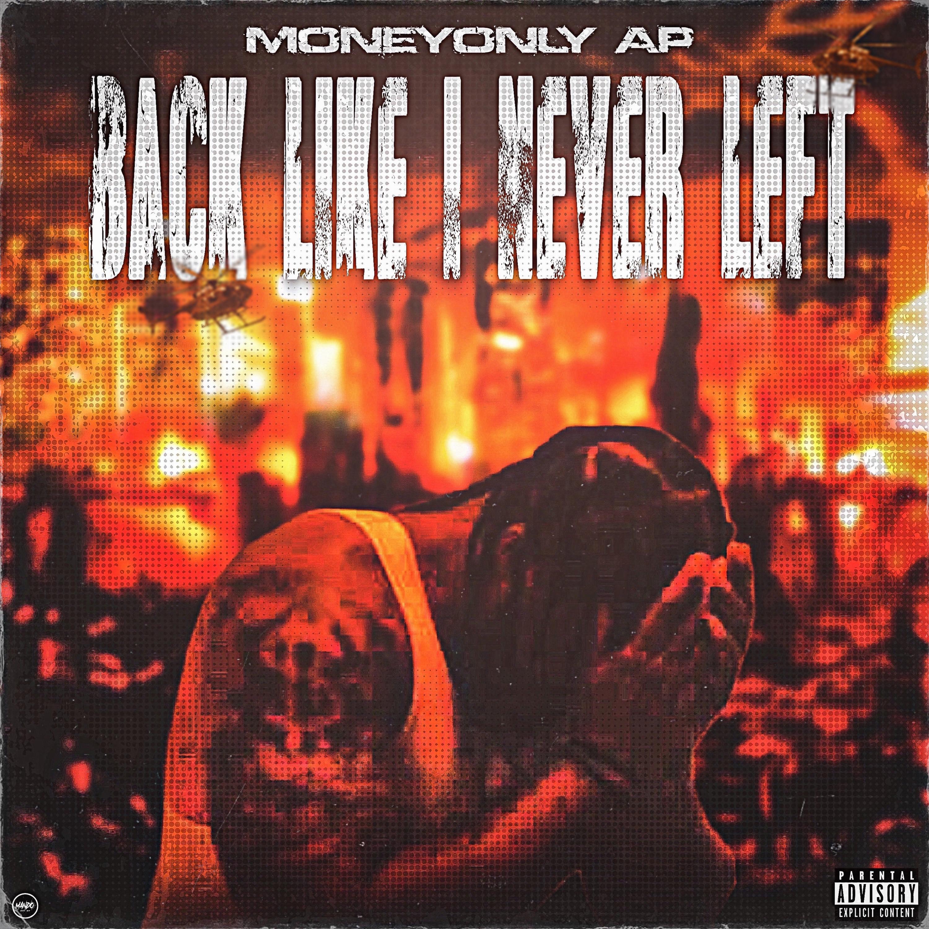 Back Like I Never Left artwork