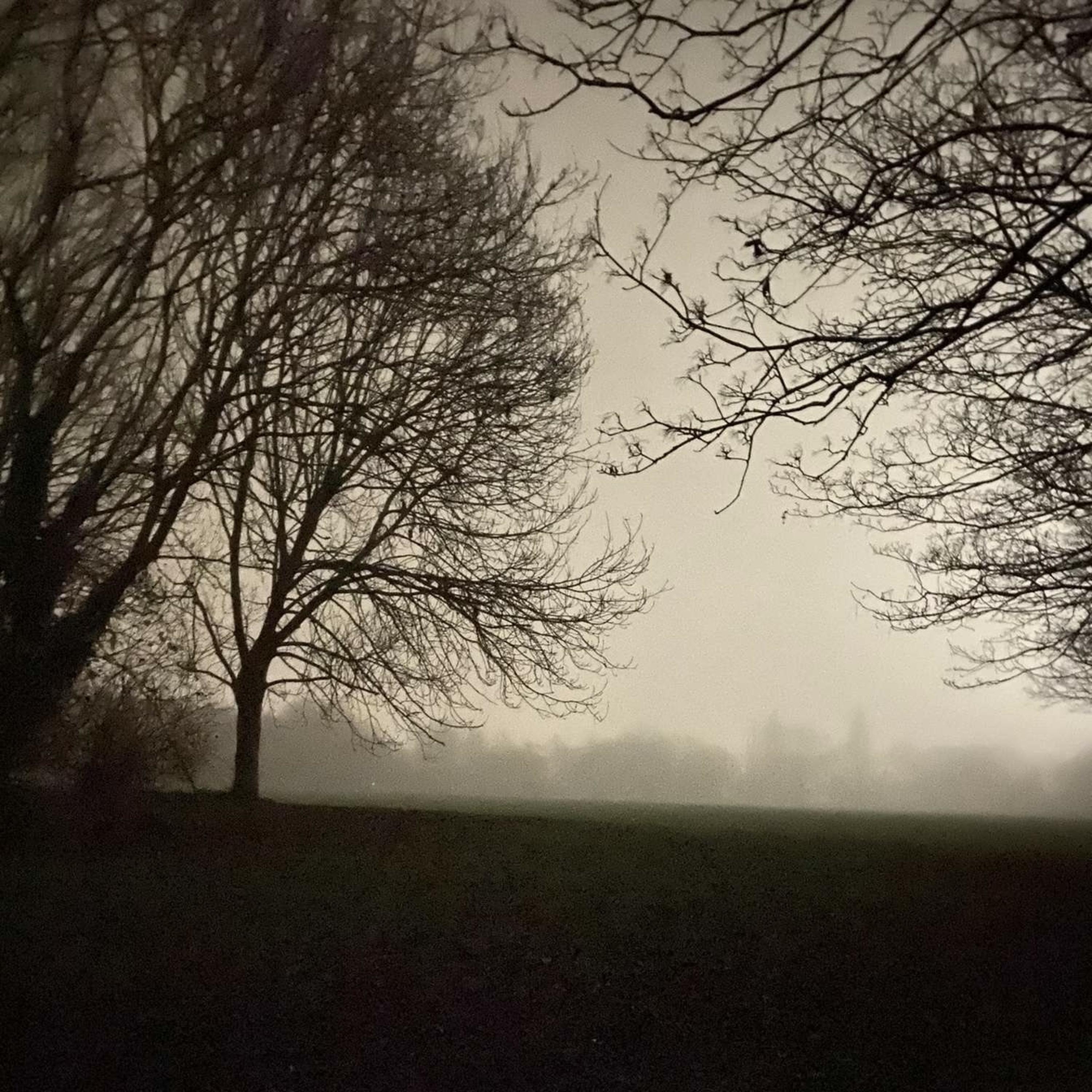 smoking in the forest artwork