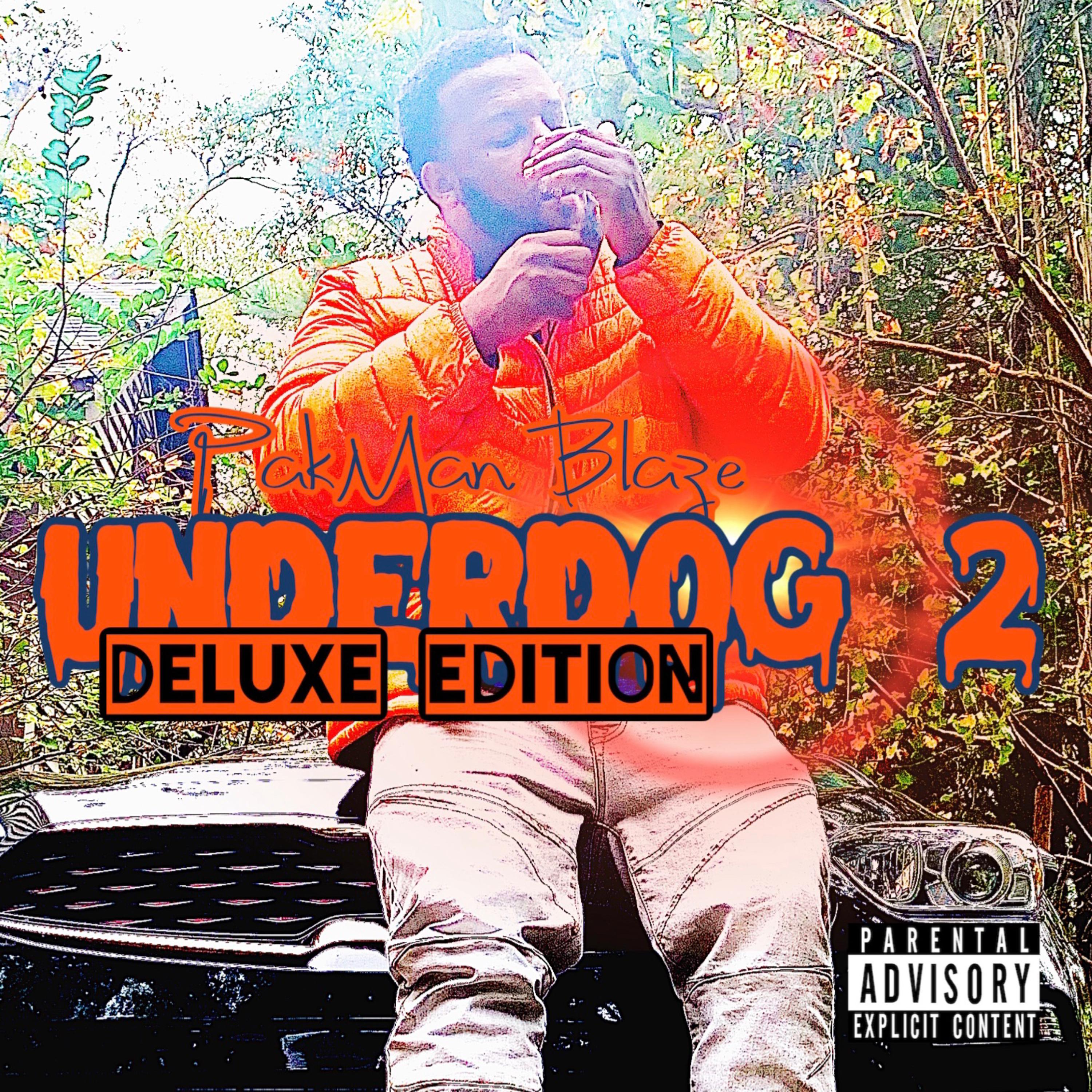 Underdog2 (deluxe edition) artwork