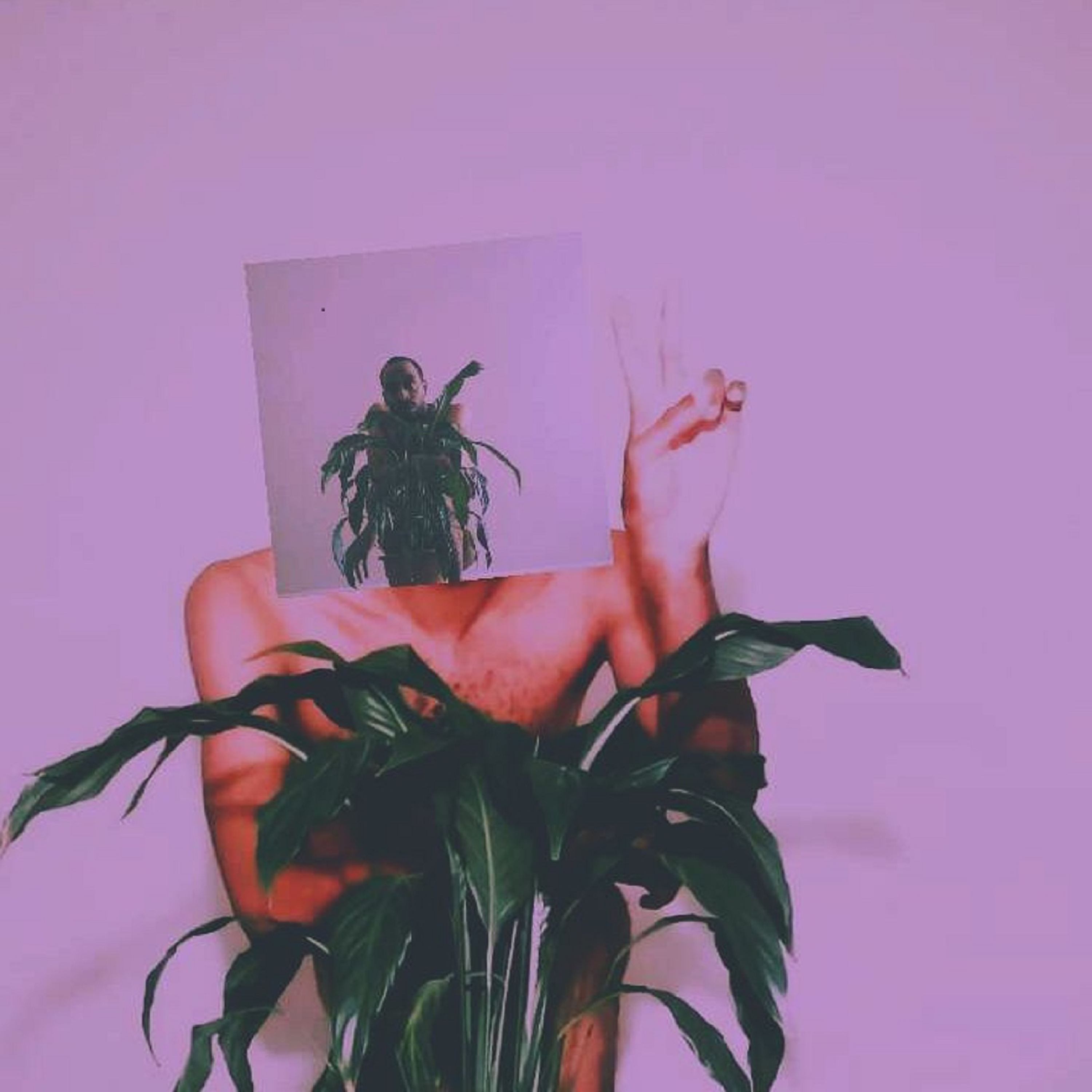 The Sex Tape 2 artwork