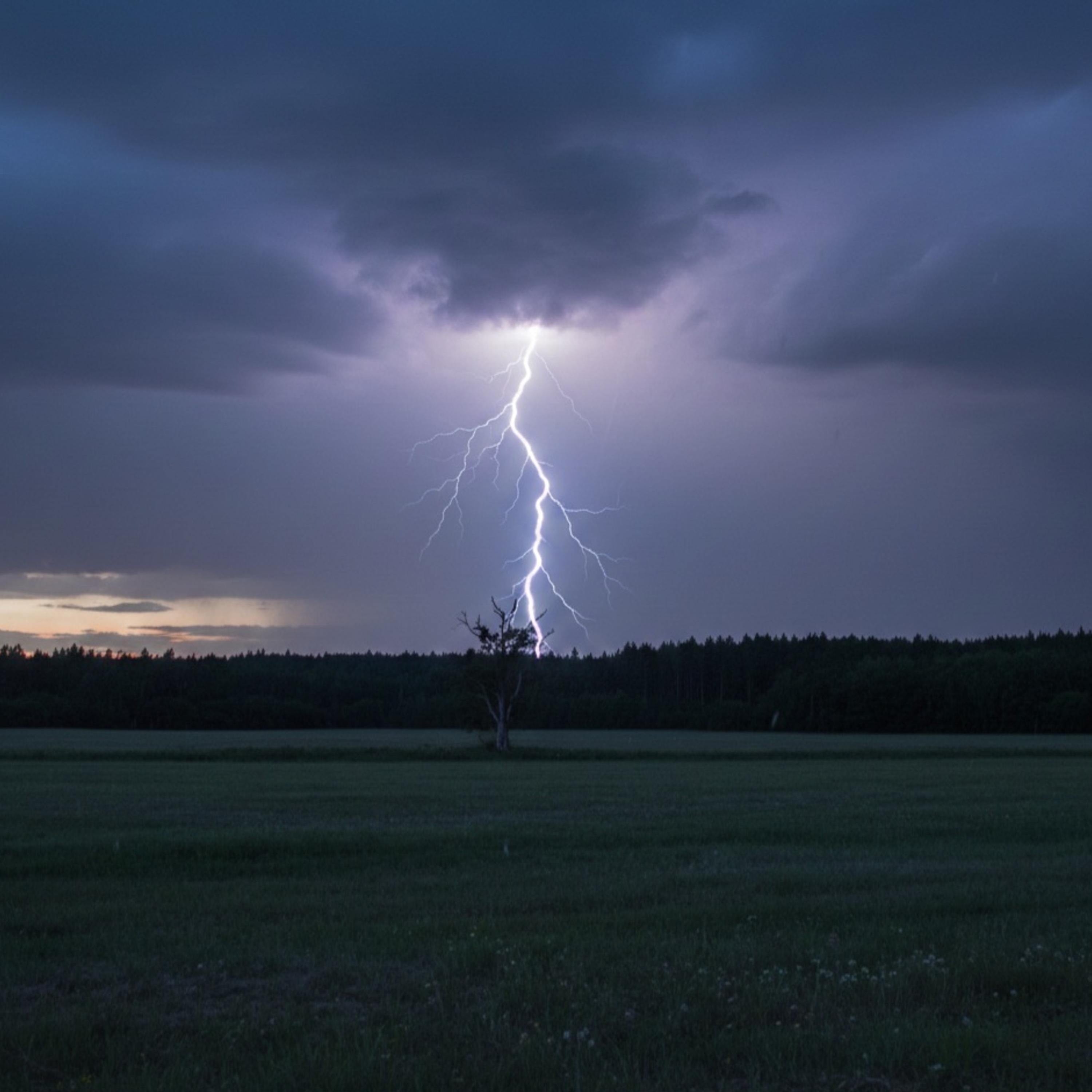Summer thunder artwork
