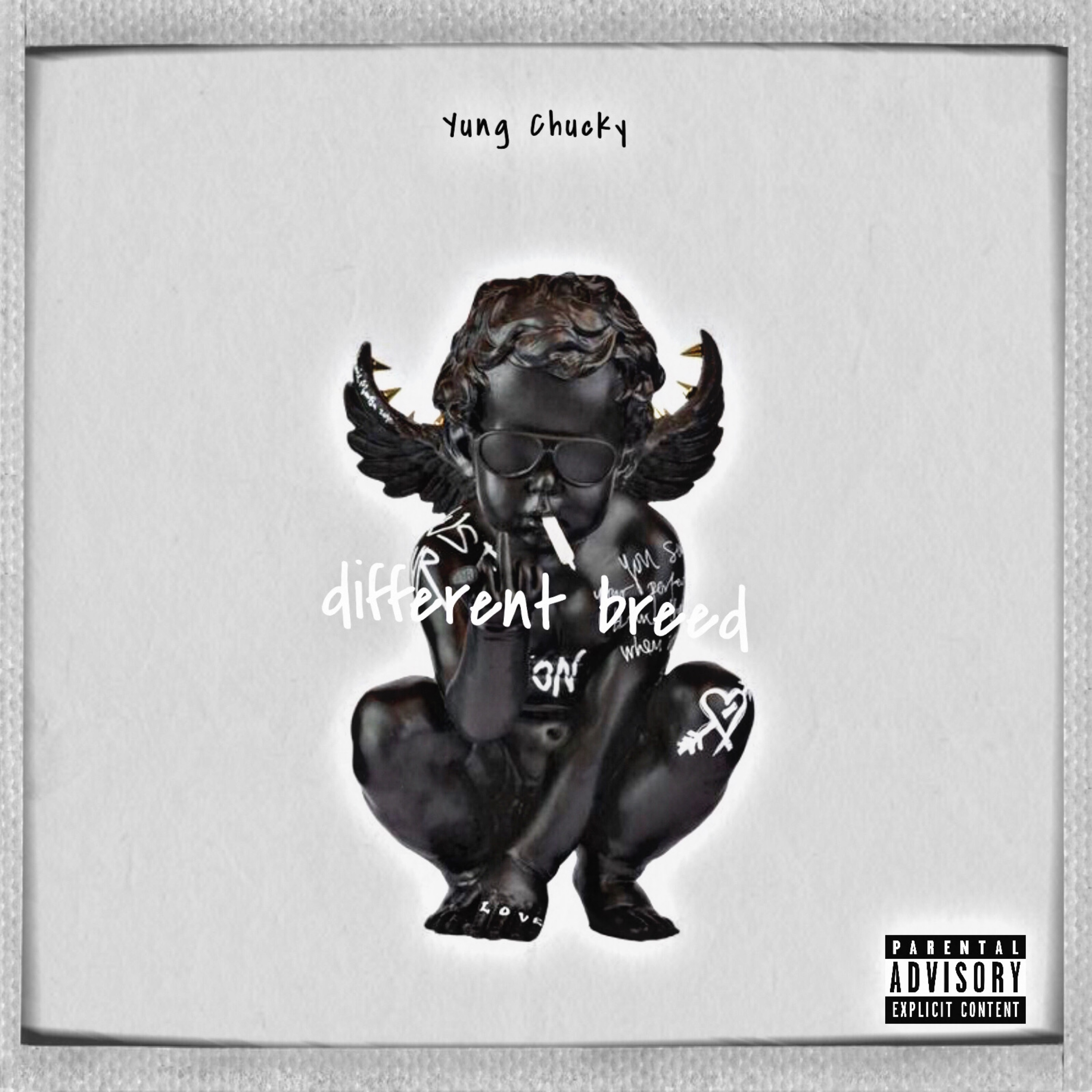 different breed artwork