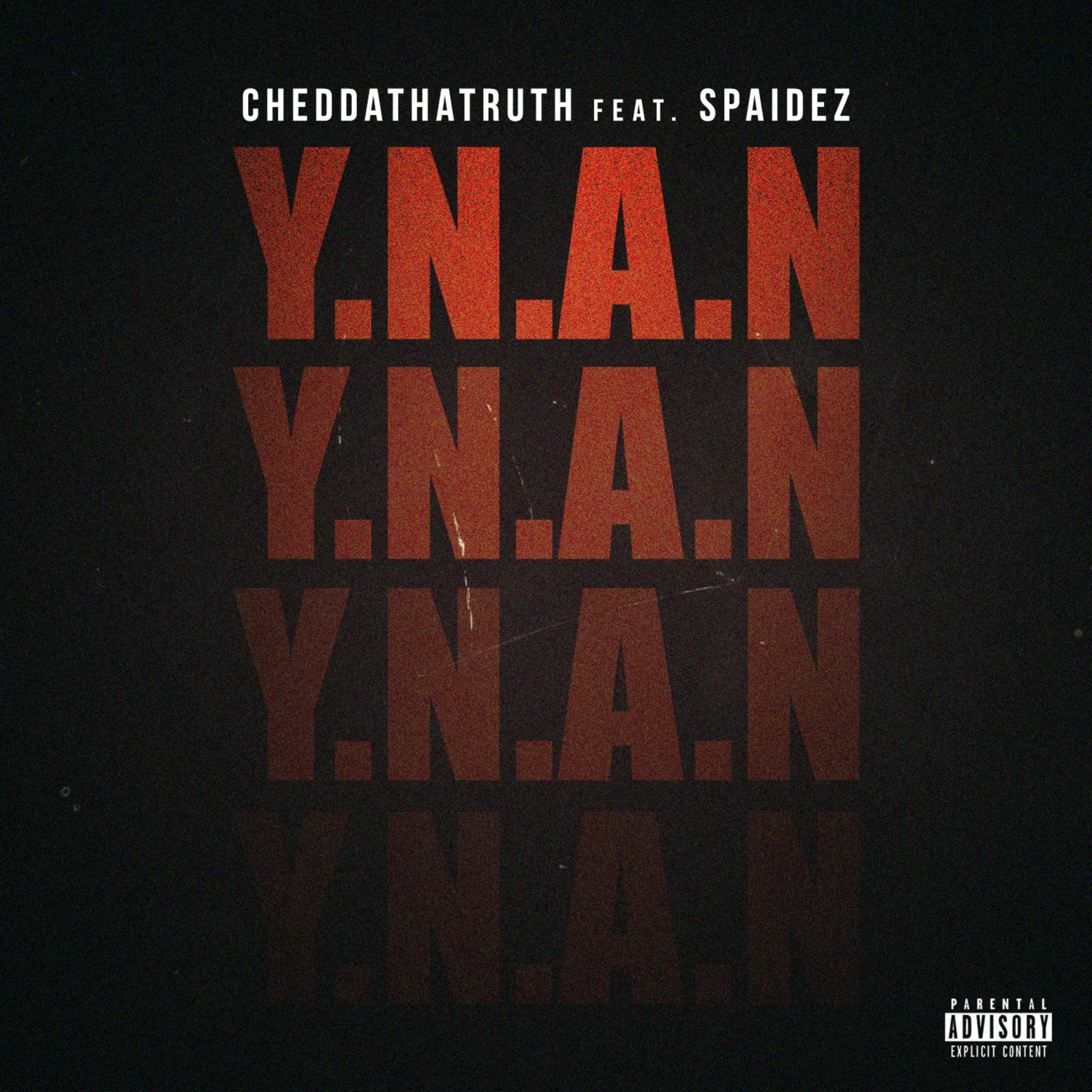 Y.N.A.N artwork